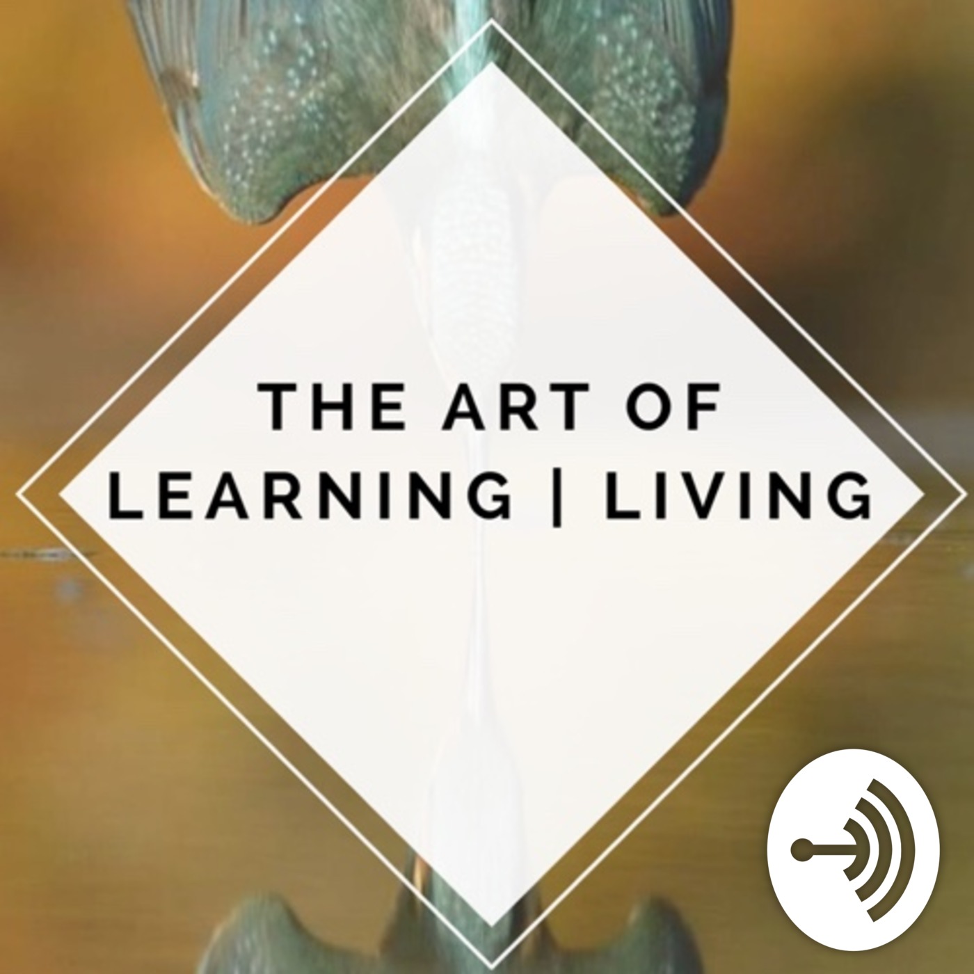New Course Announcement!! Overcome Stress and Anxiety
