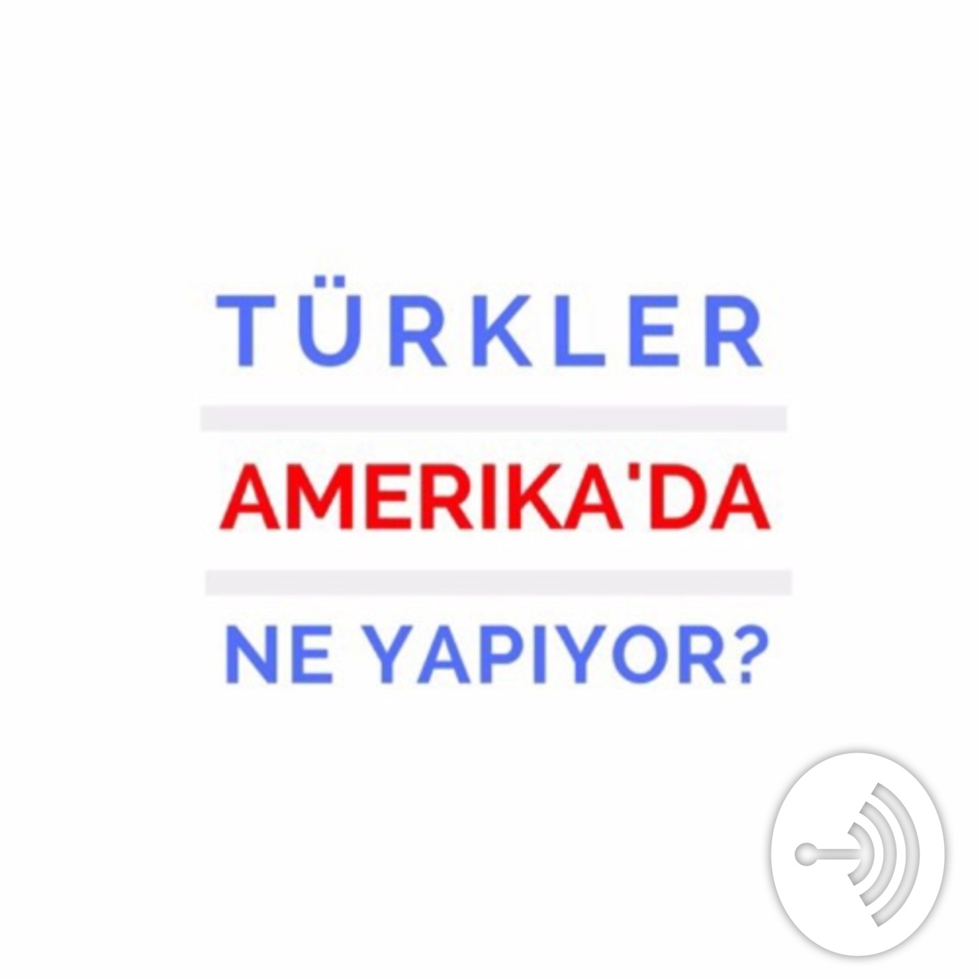 Türkler Amerika'da Ne Yapıyor?