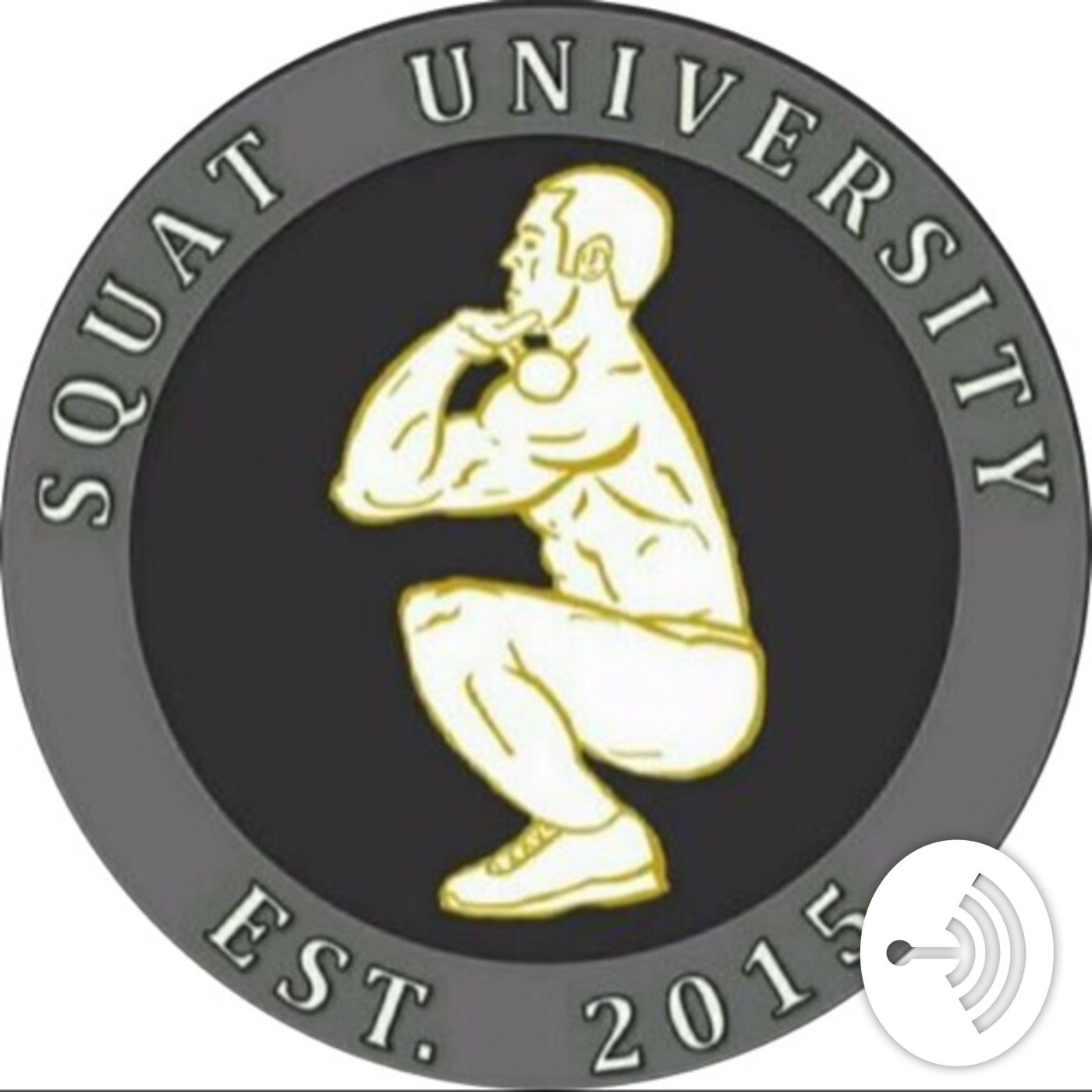 What Kind of Groin Pain Do You Have? – Squat University