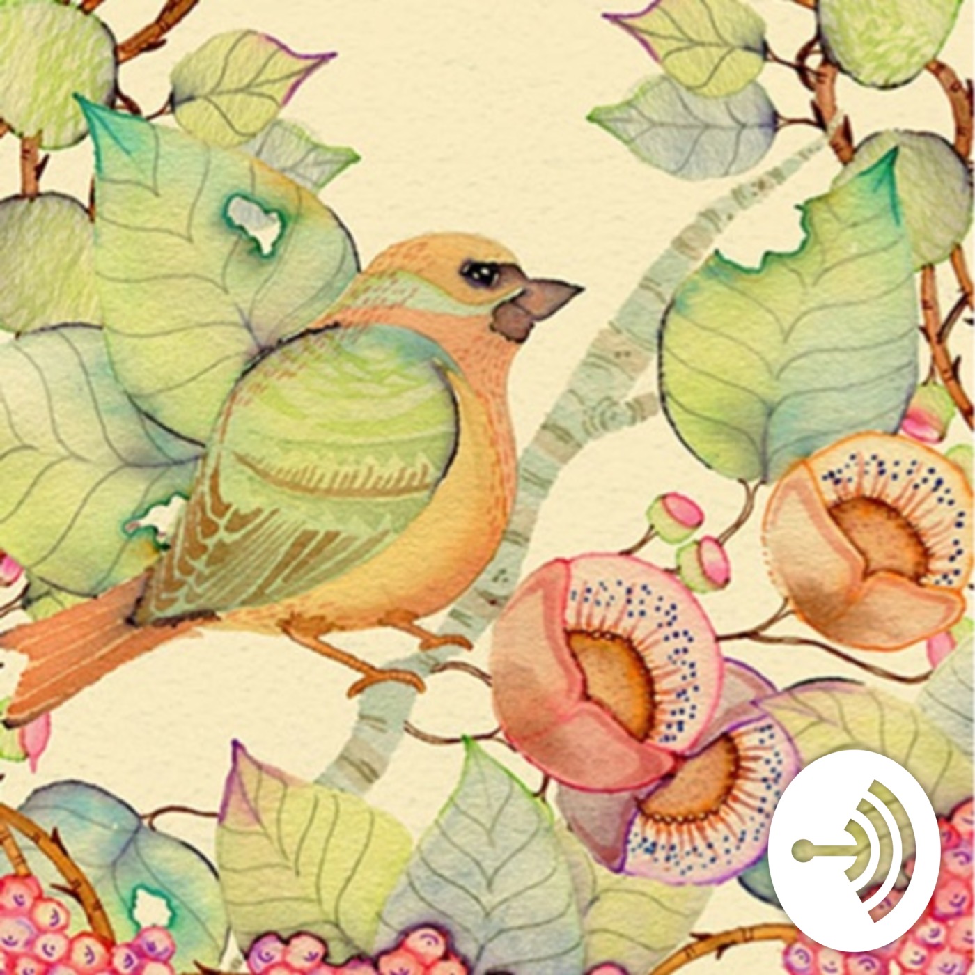 My personal experiences with Gnosis