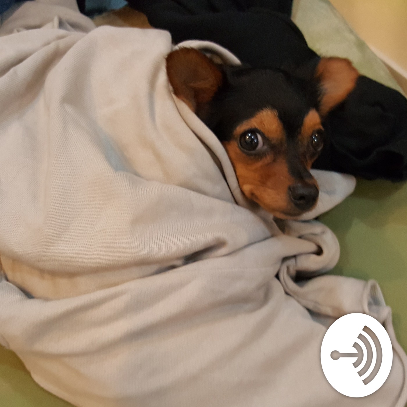 Test Podcast Test Podcast