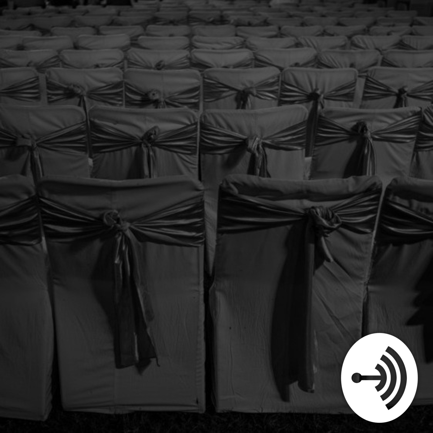 And The Birds Stopped The Sun