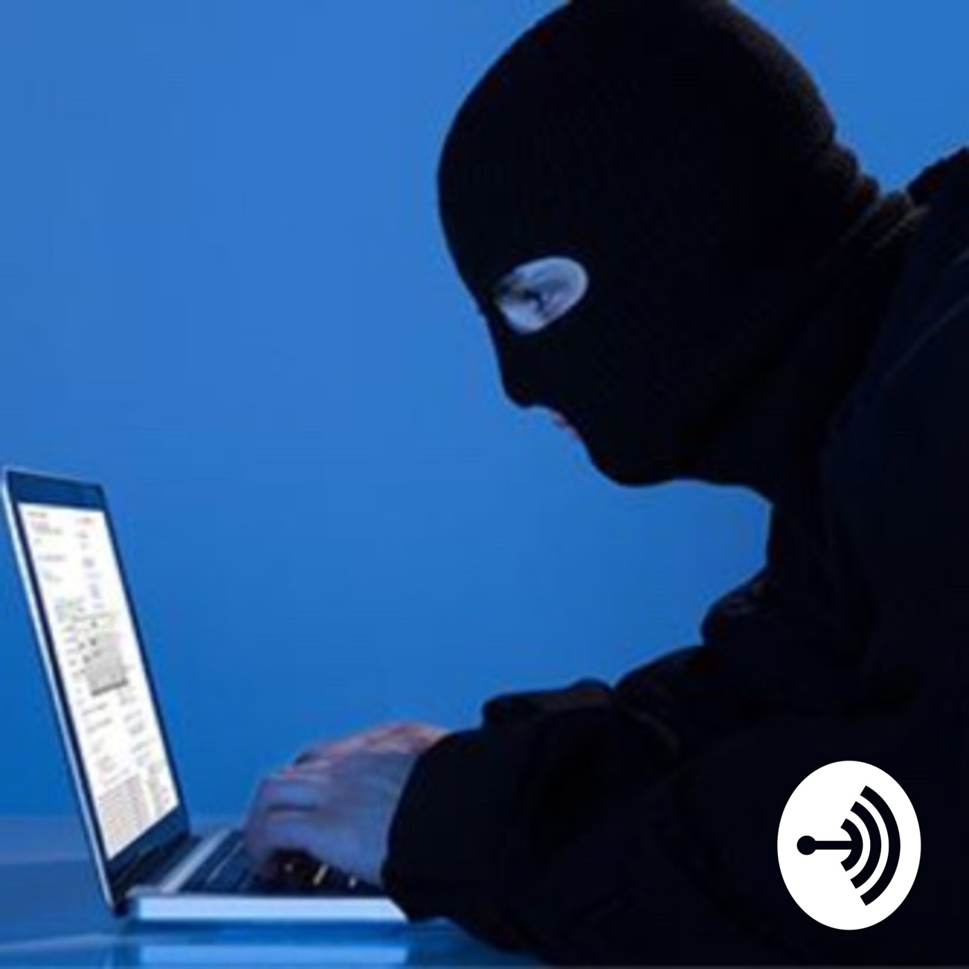 Safeguarding Personal Information Online