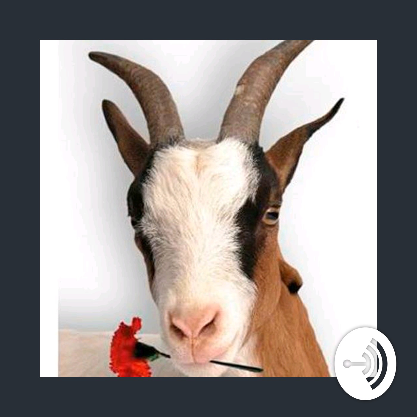 Cabras en el horizonte 