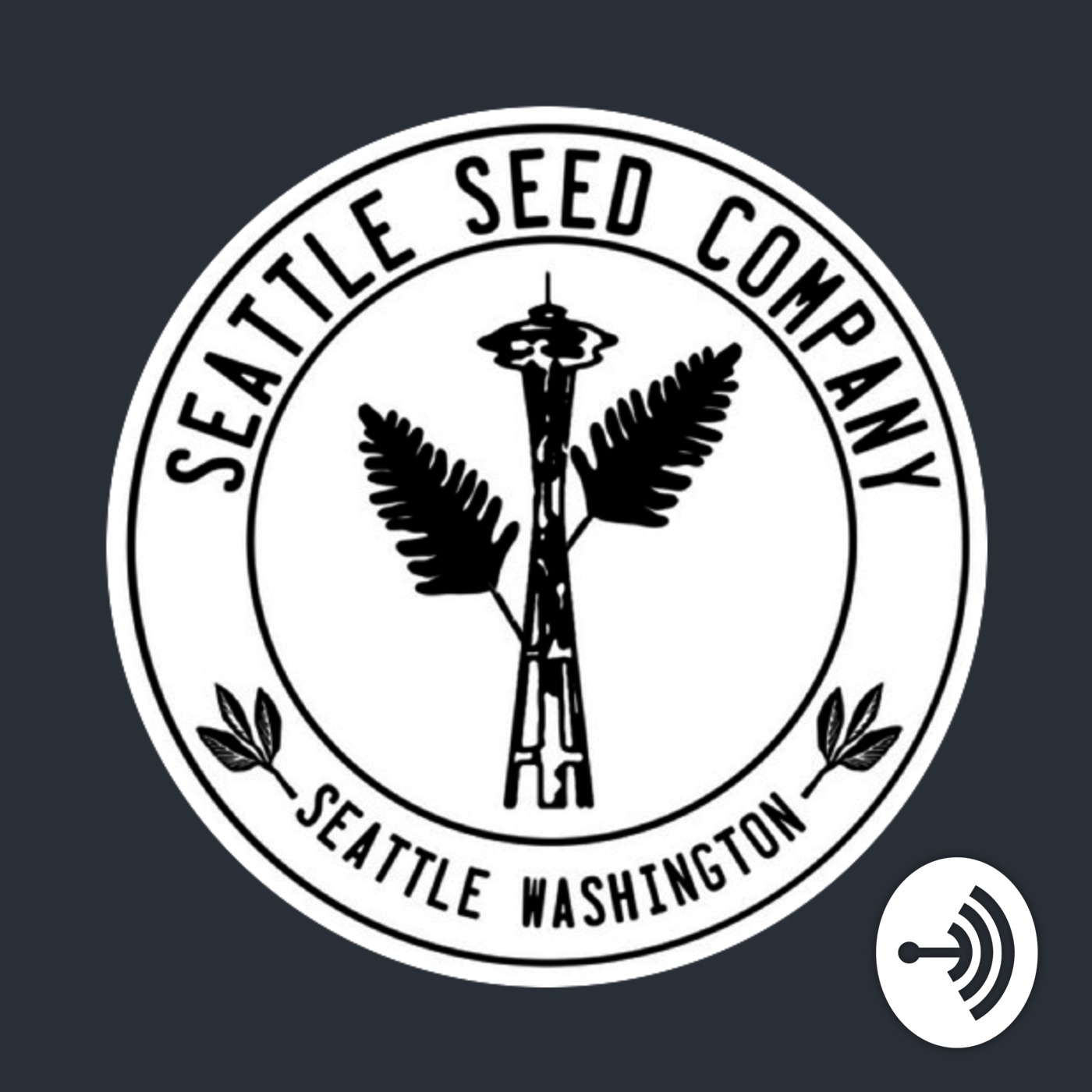 Why Am I Killing My Air Plant?