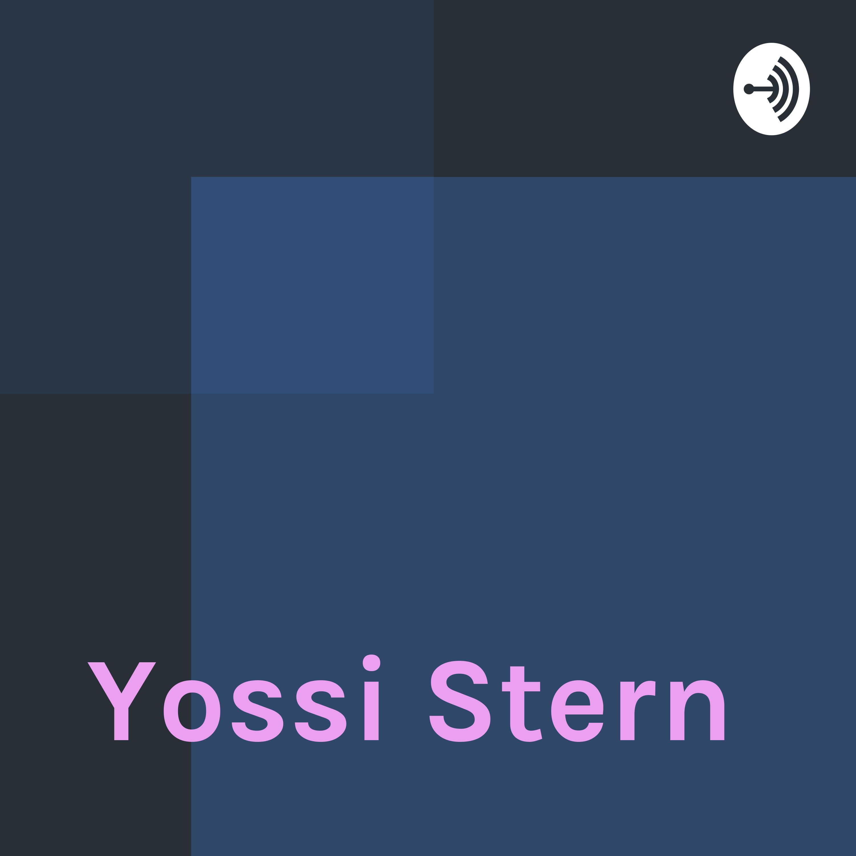 Yossi Stern