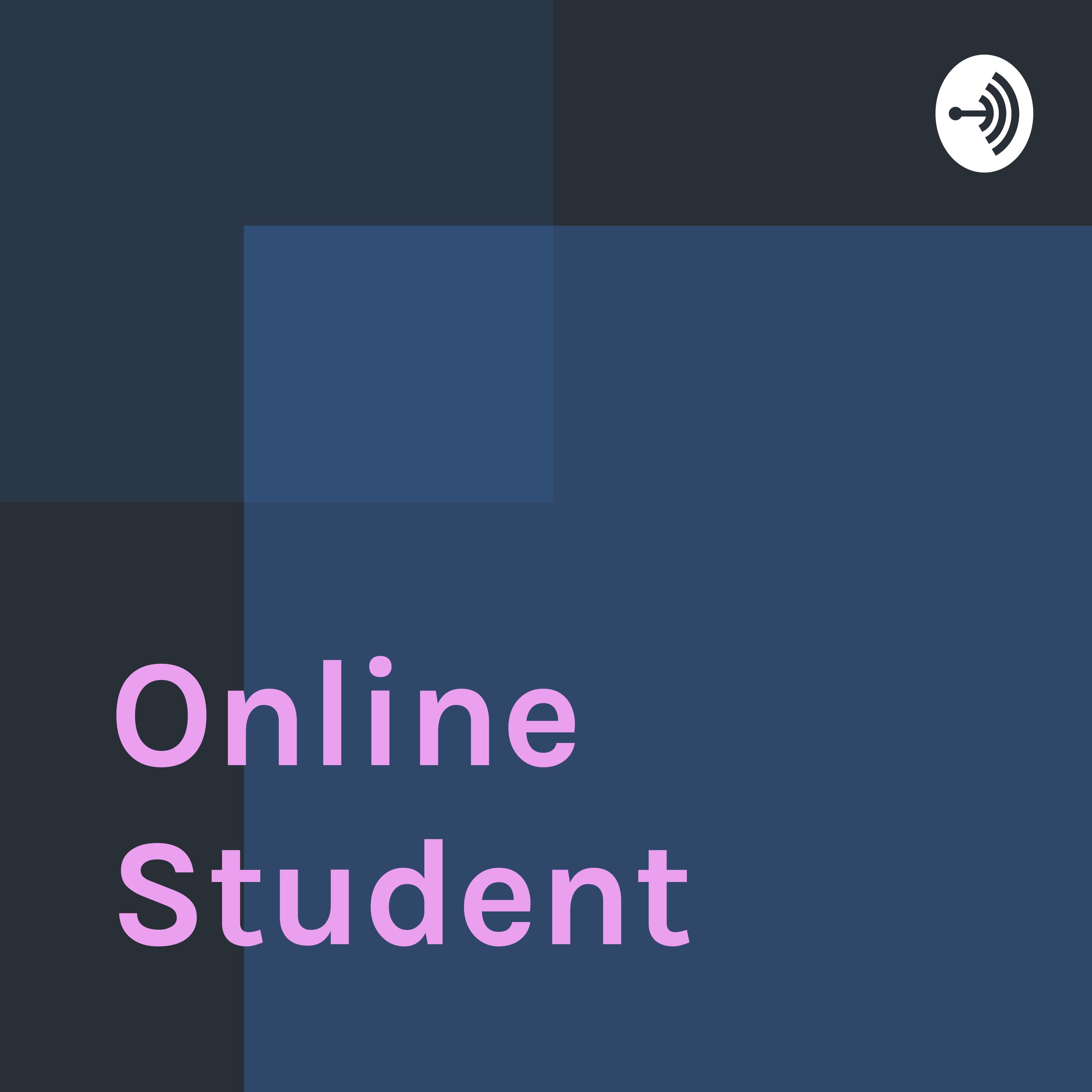 Online Student