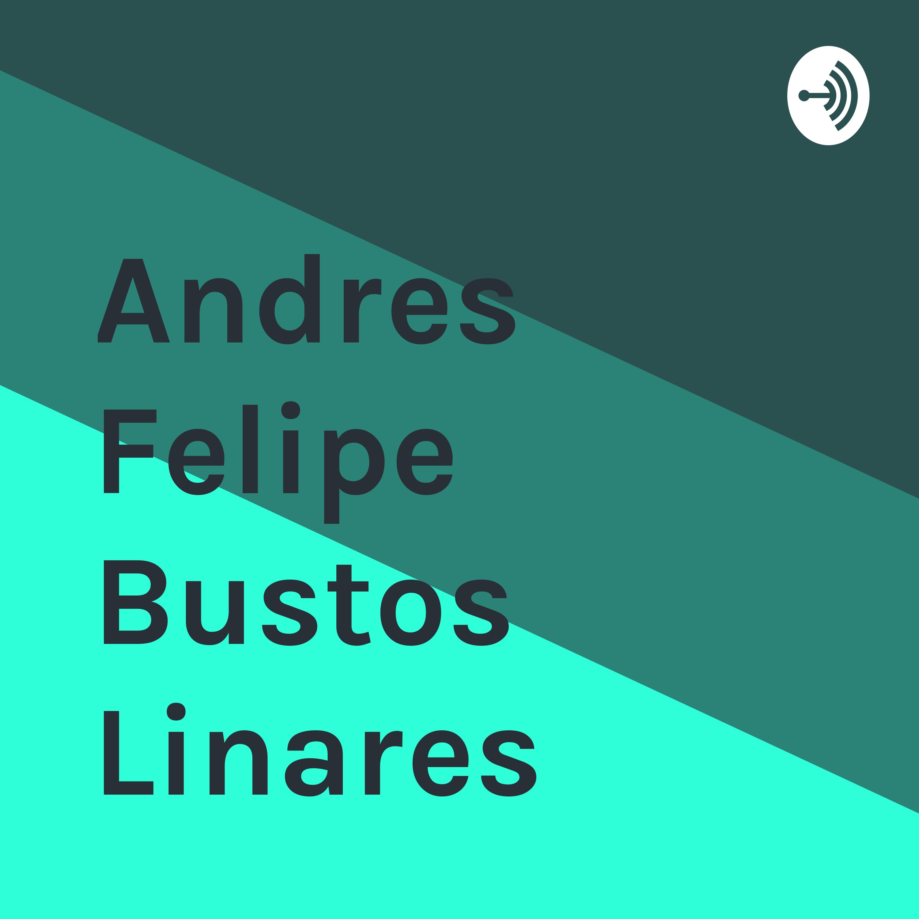 Andres Felipe Bustos Linares