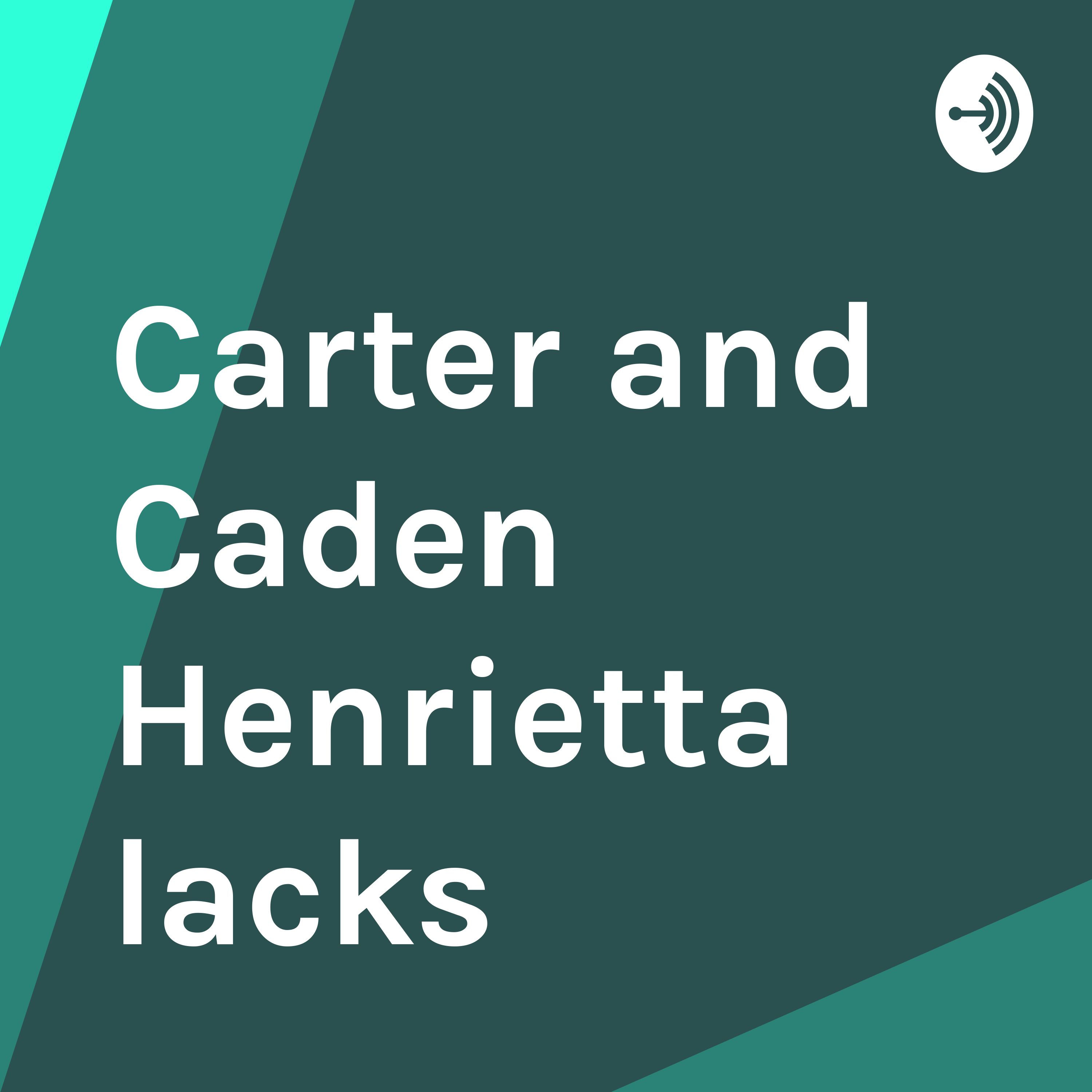 Carter and Caden Henrietta lacks