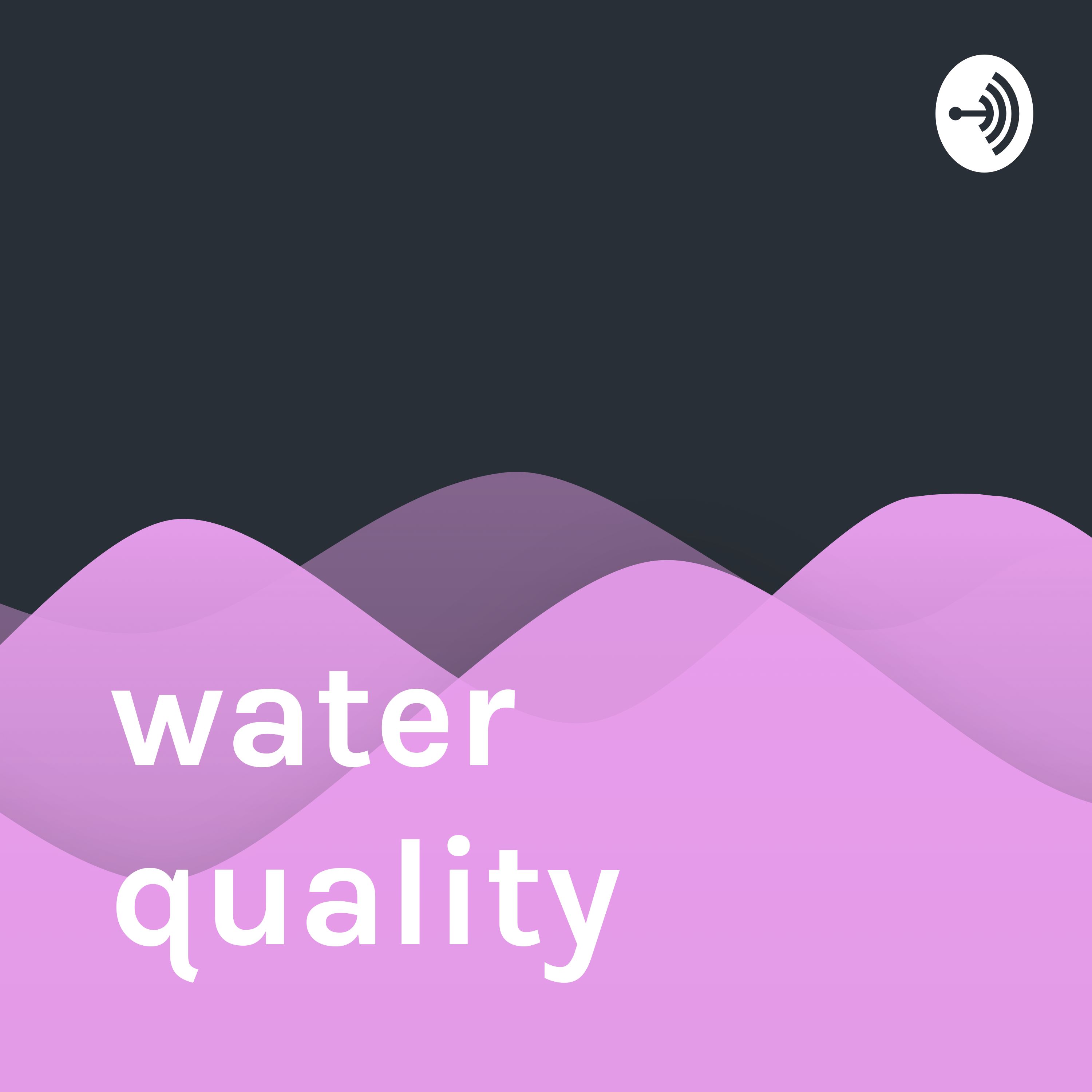 water quality 