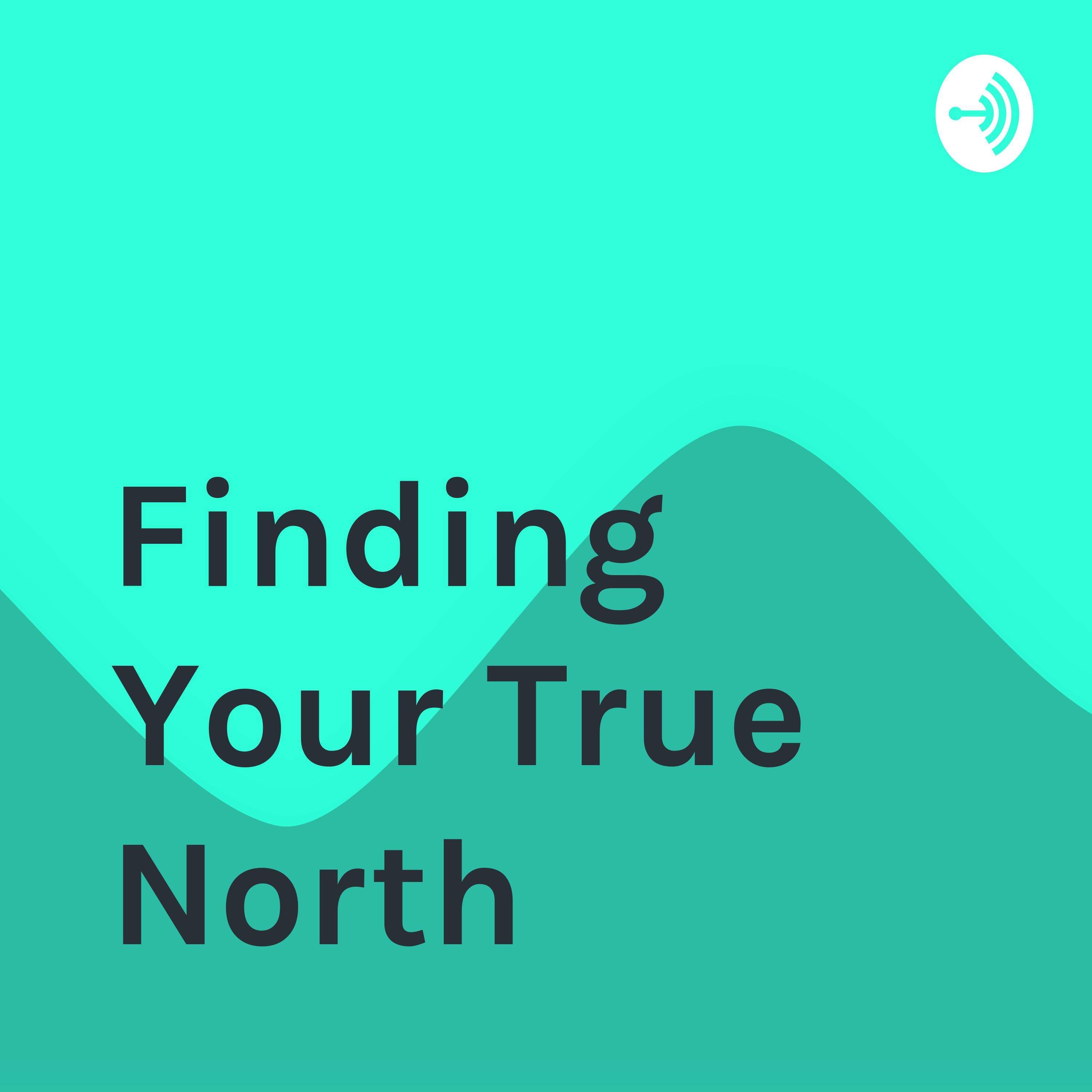 Finding Your True North