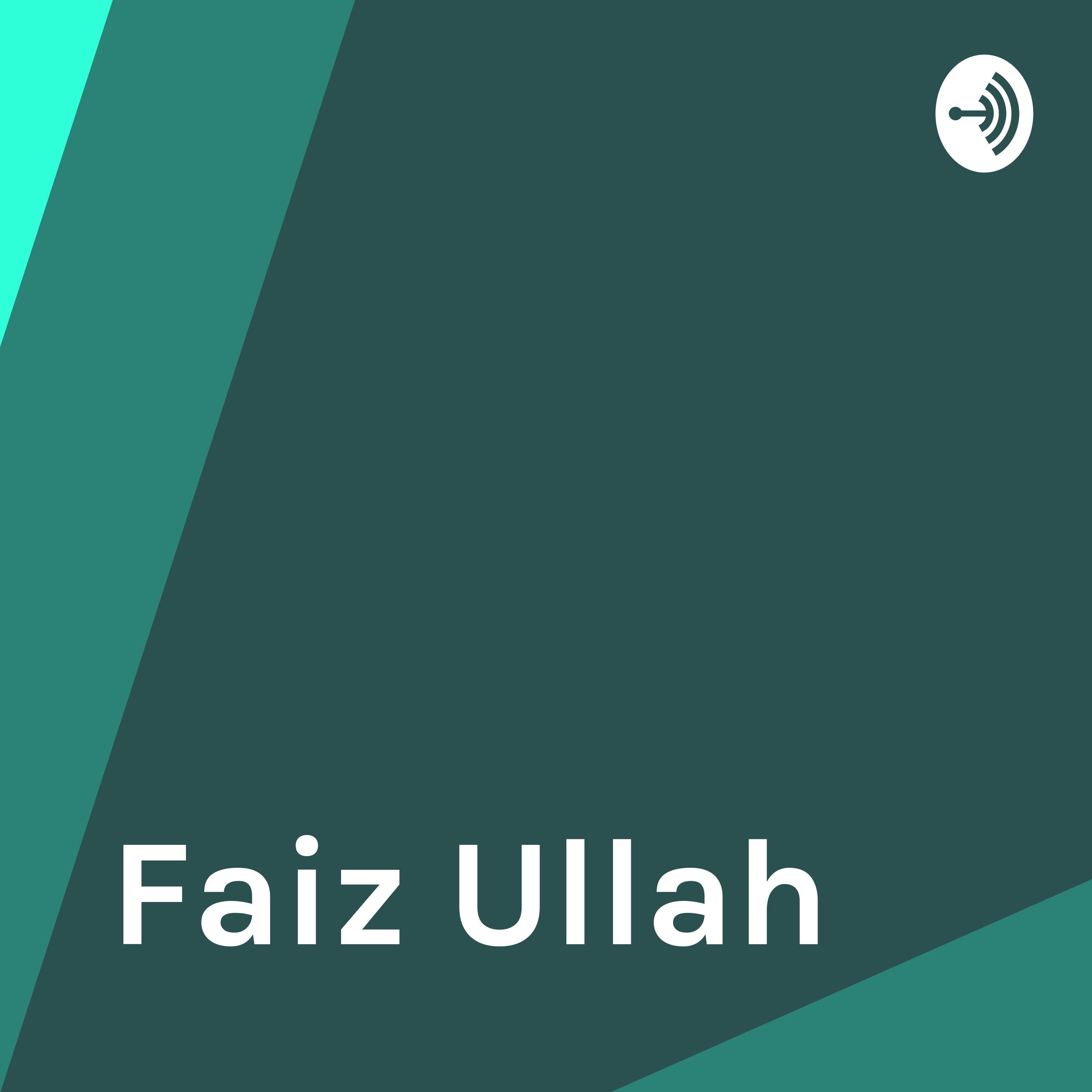Faiz Ullah