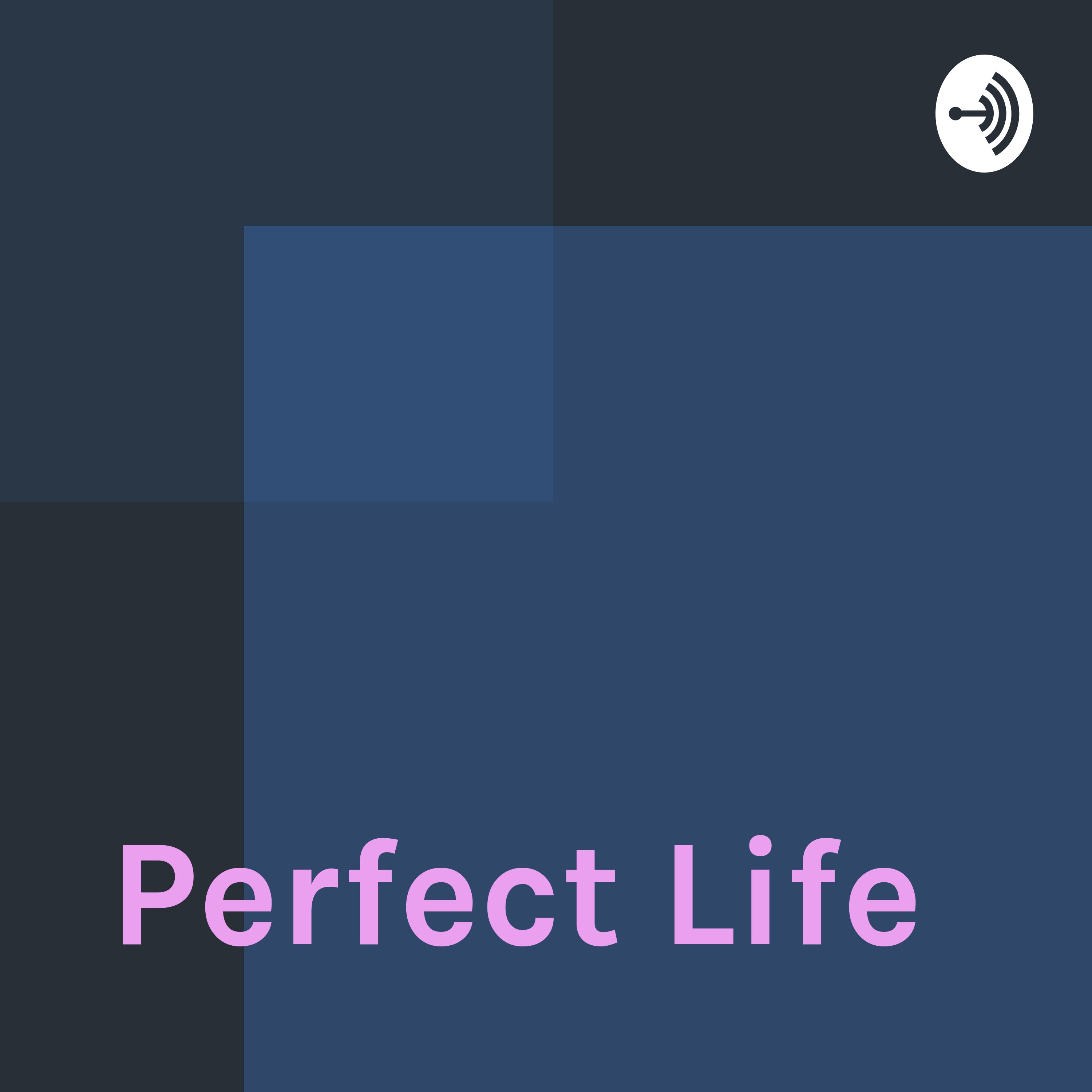 Perfect Life