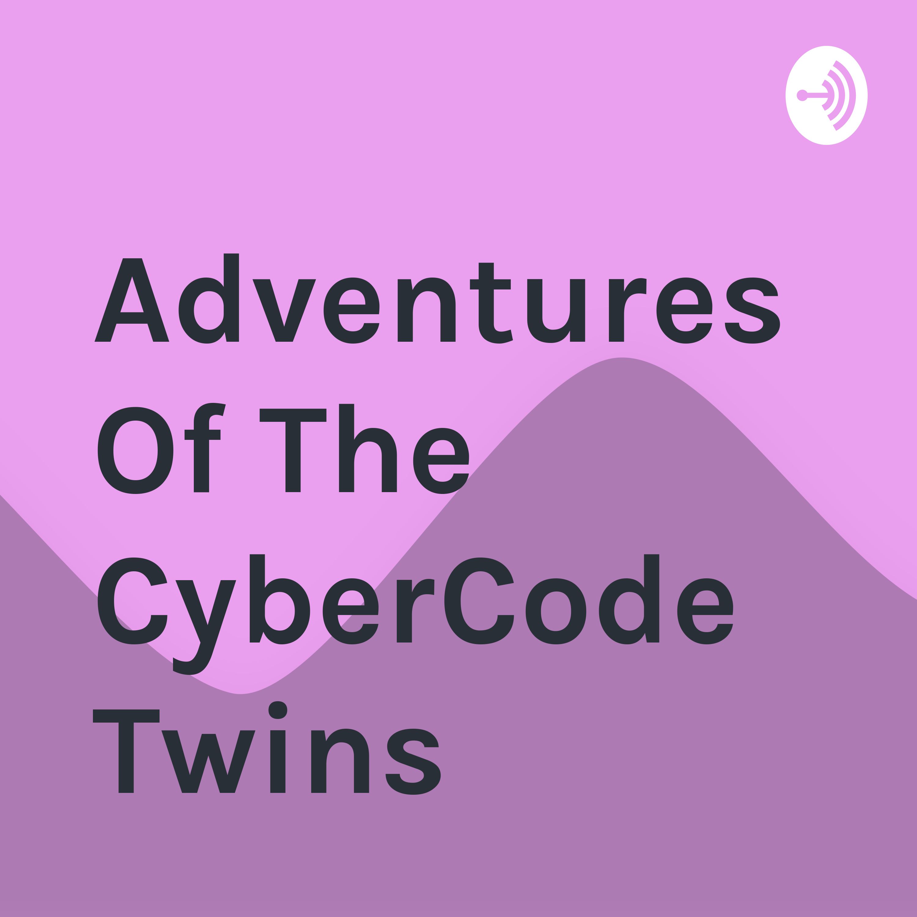 Adventures Of The CyberCode Twins