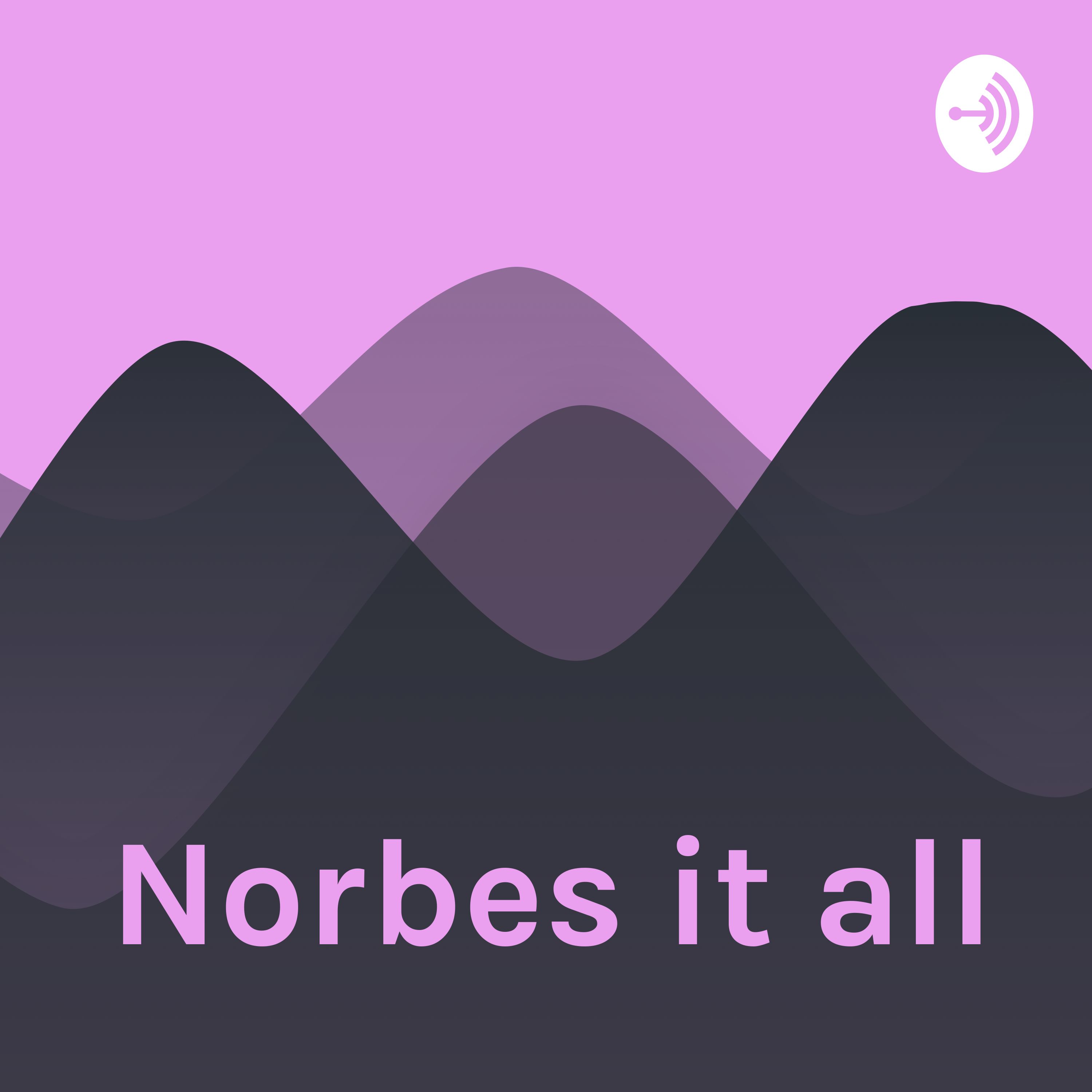 Norbes it all