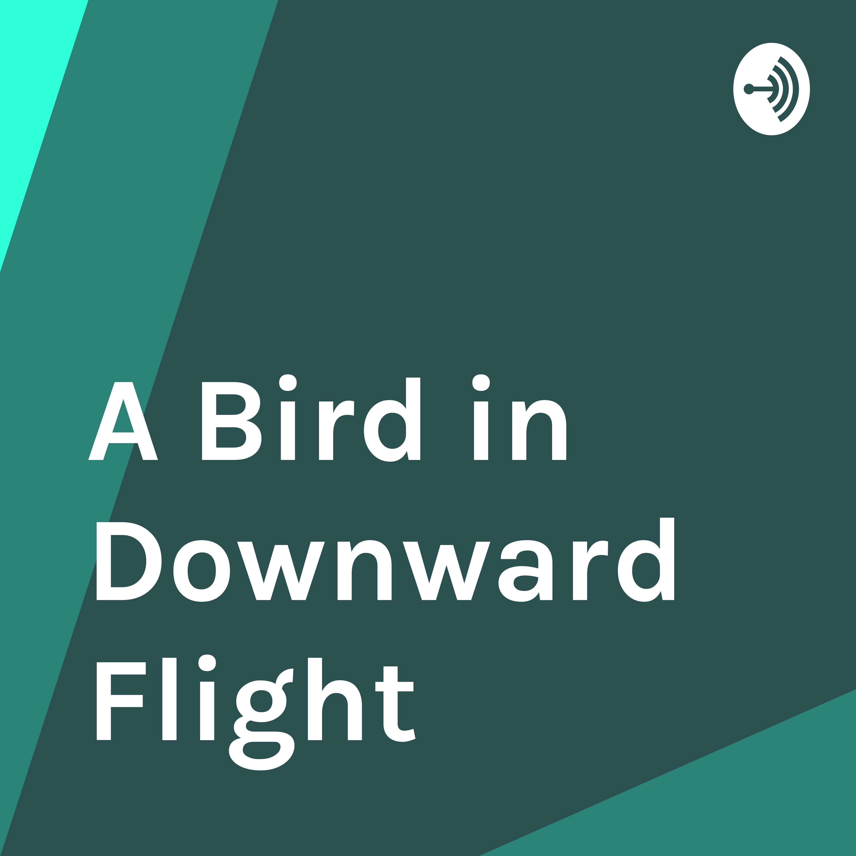 A Bird in Downward Flight