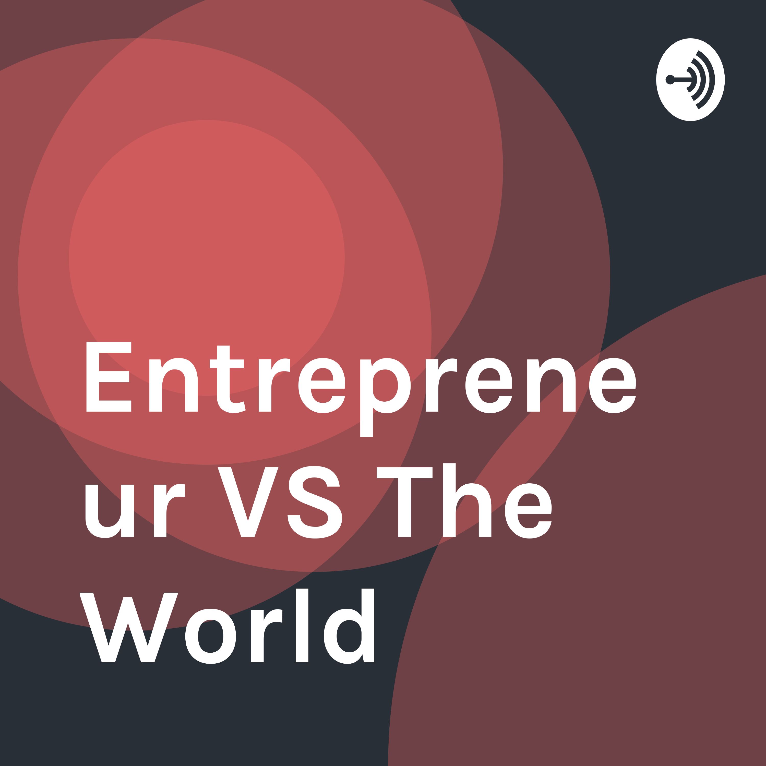 Entrepreneur VS The World