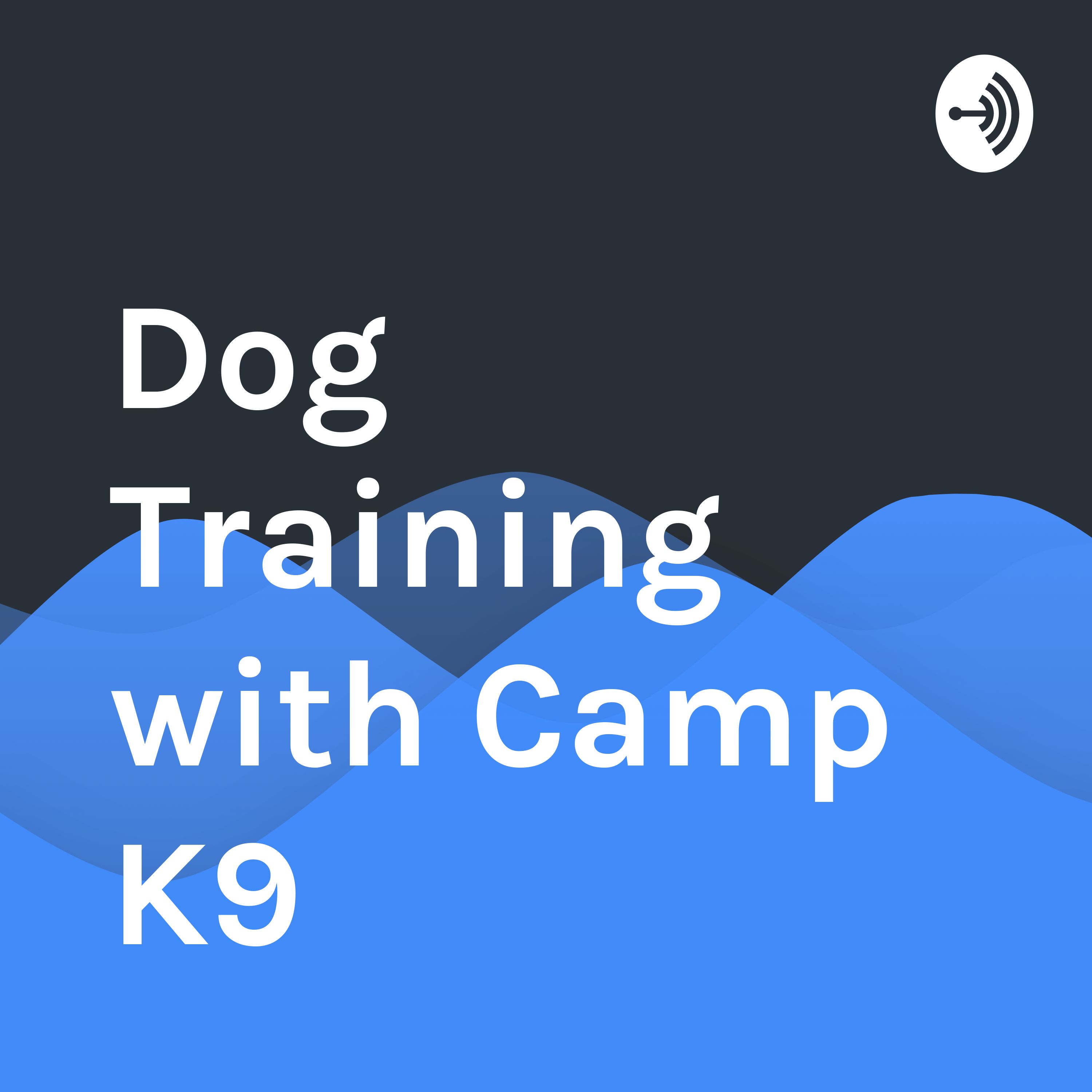 camp k9 training