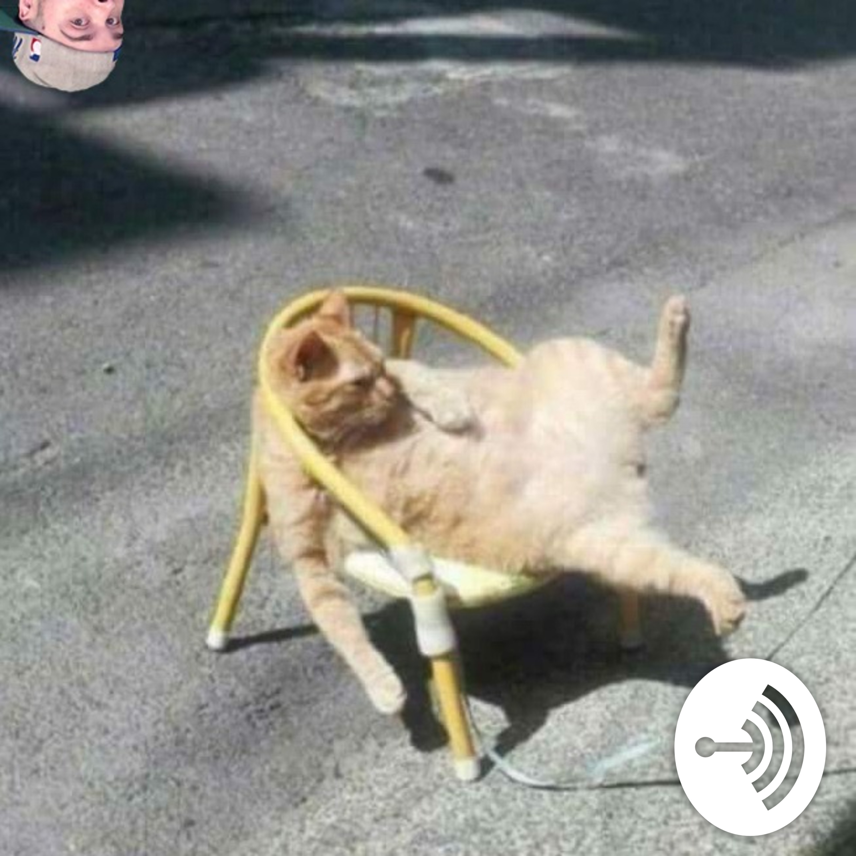 The Feline Facts Podcast