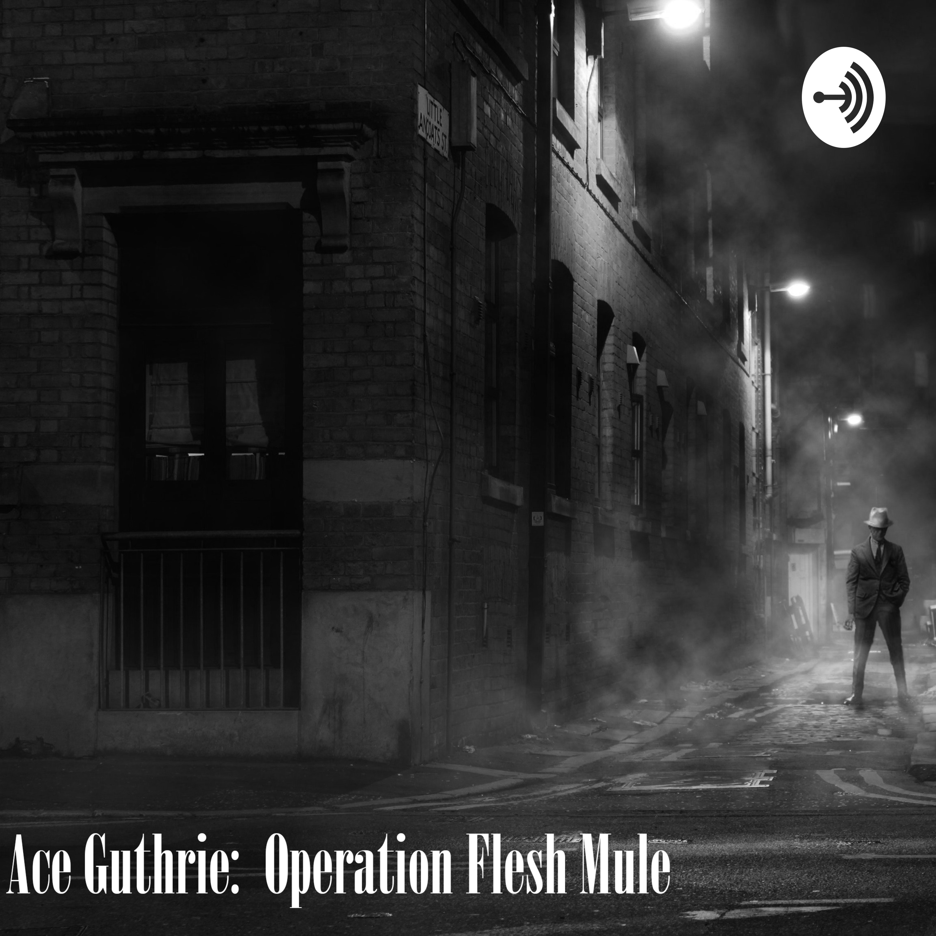 Ace Guthrie: Operation Flesh Mule