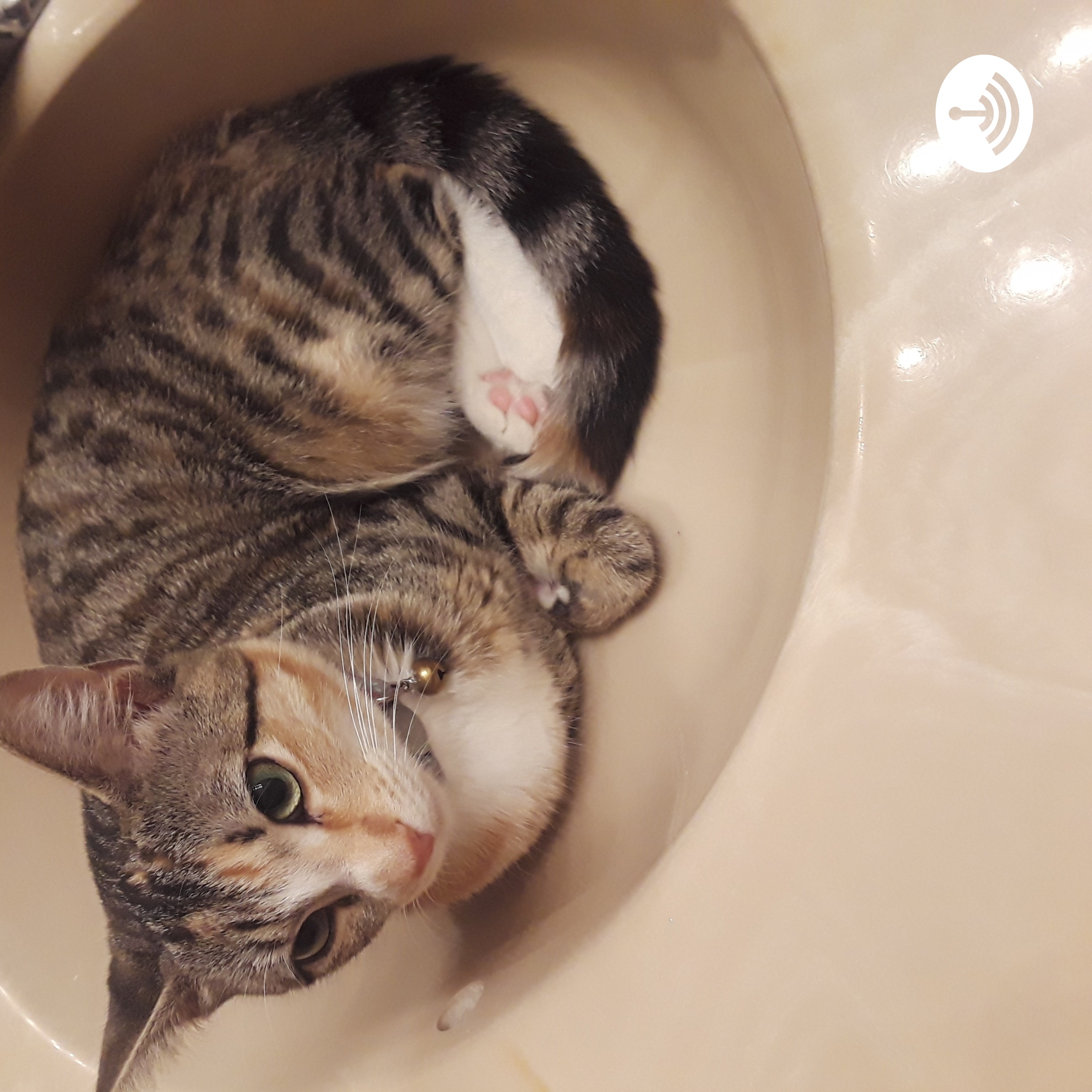 Alma Delia Ocampo Magaña Talks