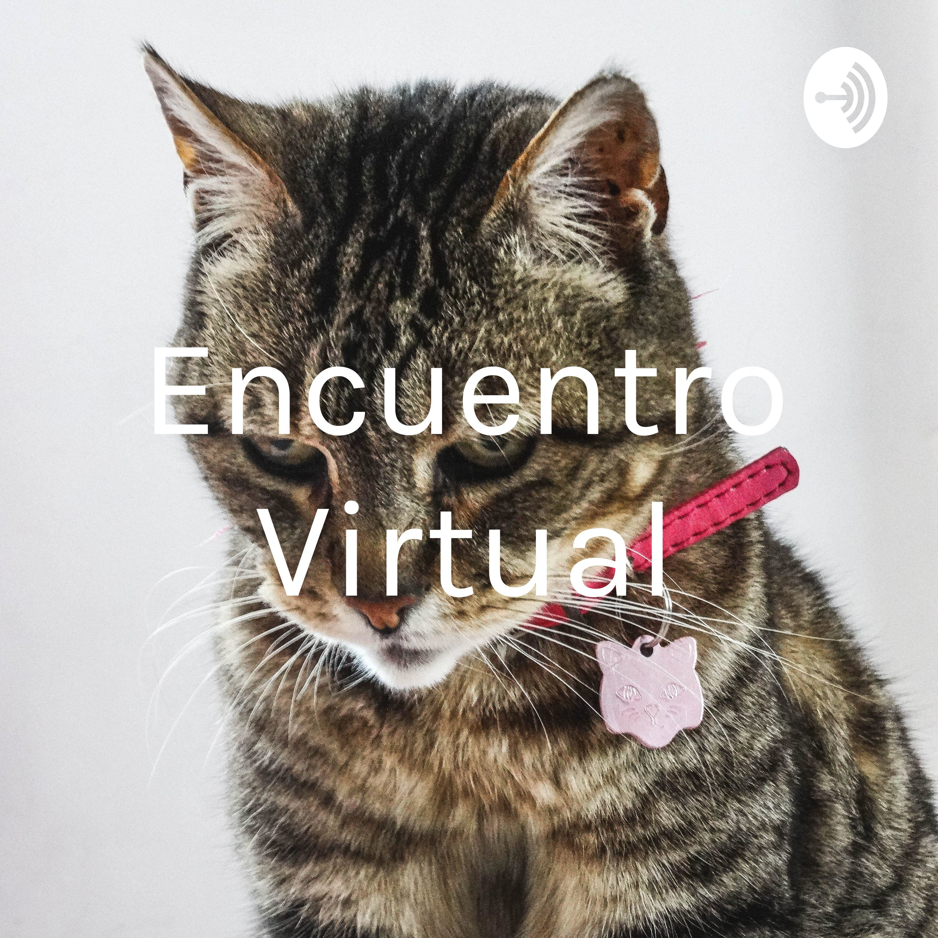 Encuentro Virtual