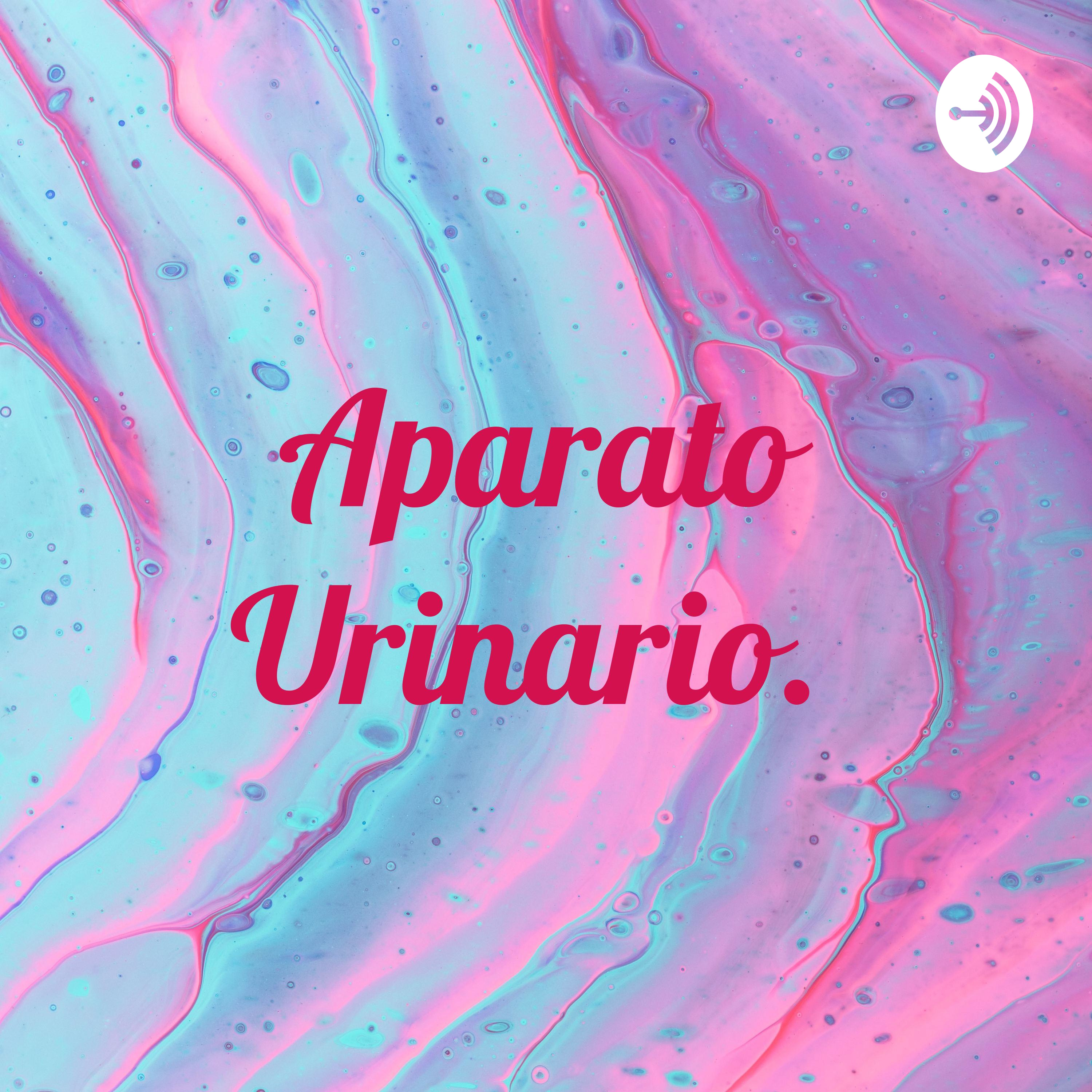Aparato Urinario. 