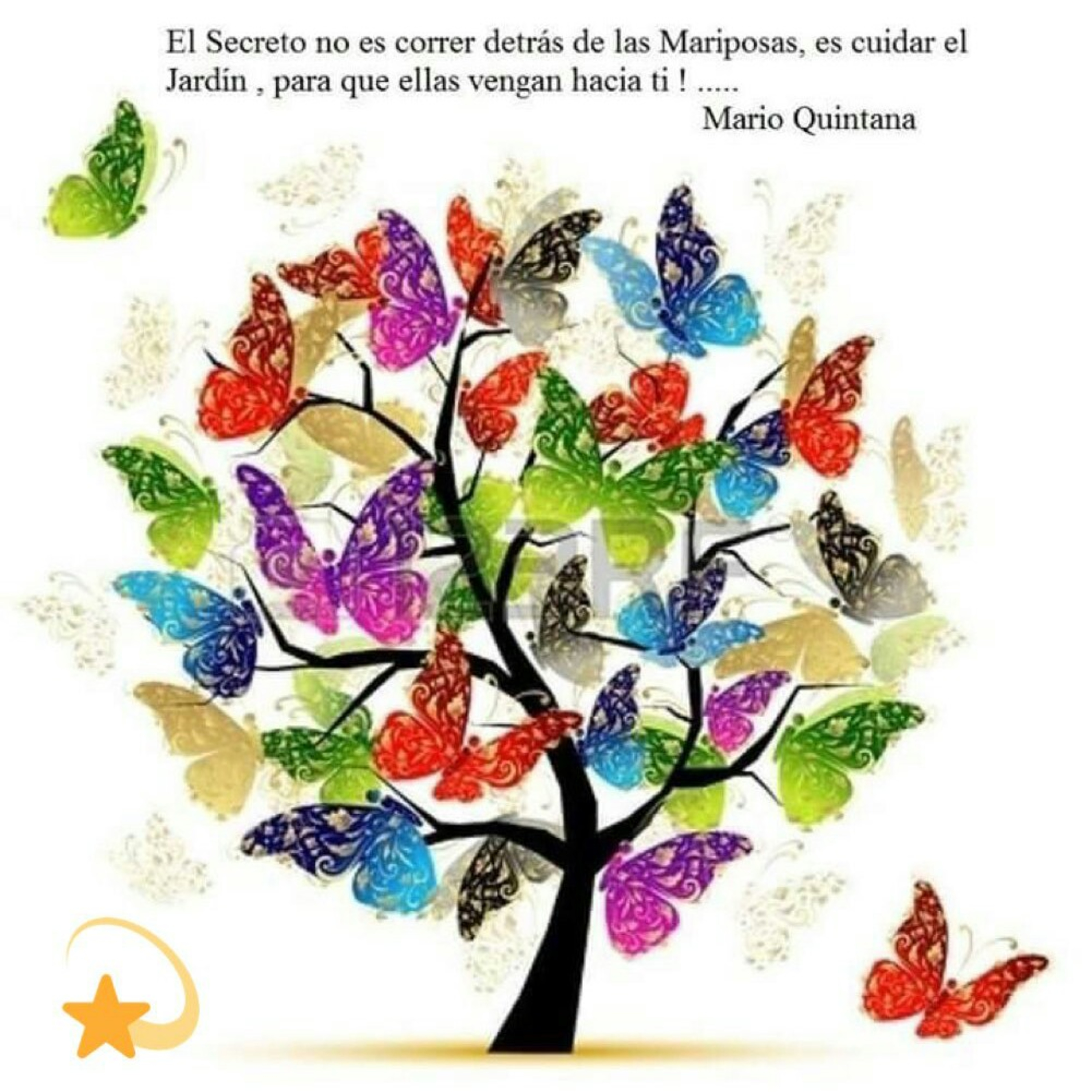 Cuentos Y Actividades