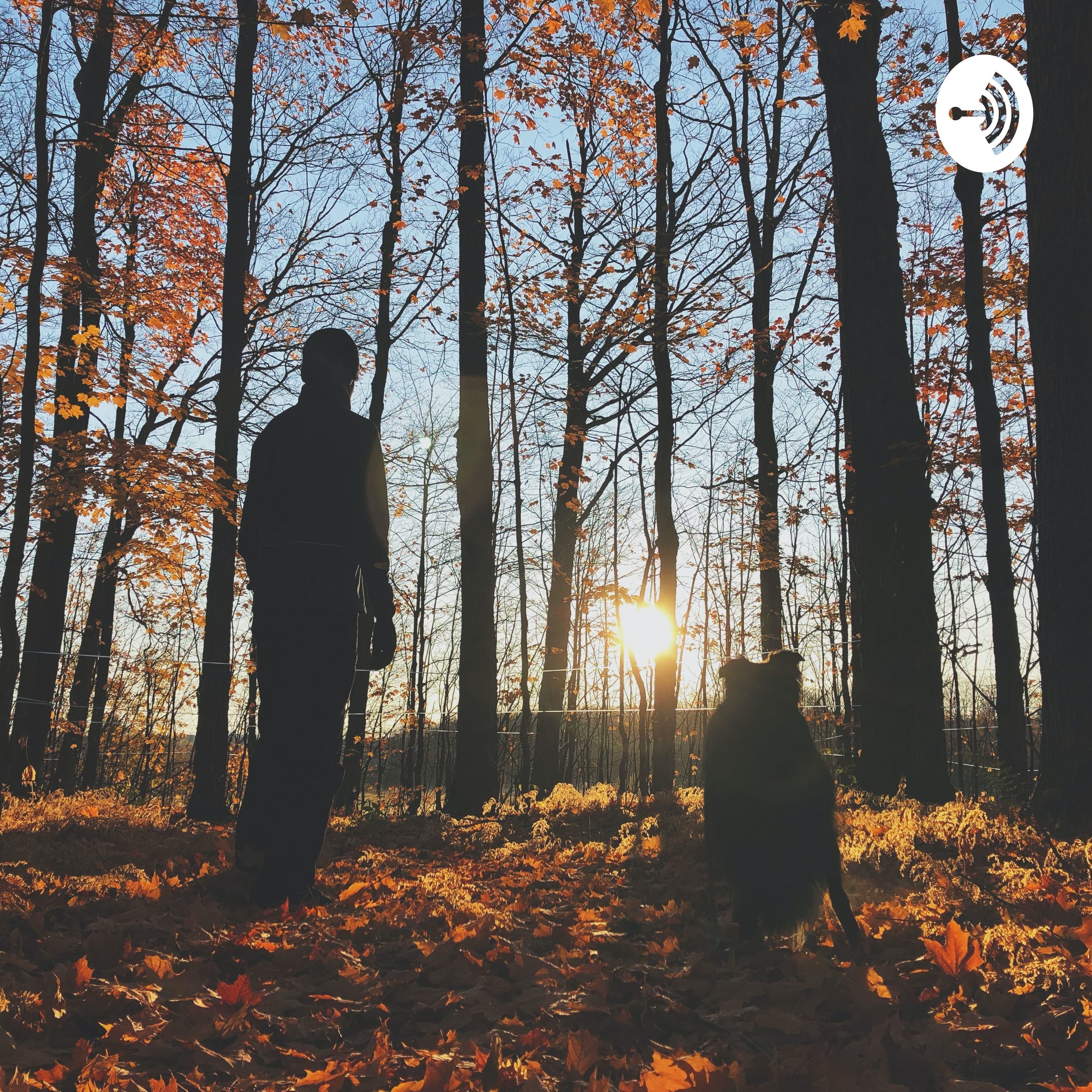 بیرهاتنێن جمال ملا خالد