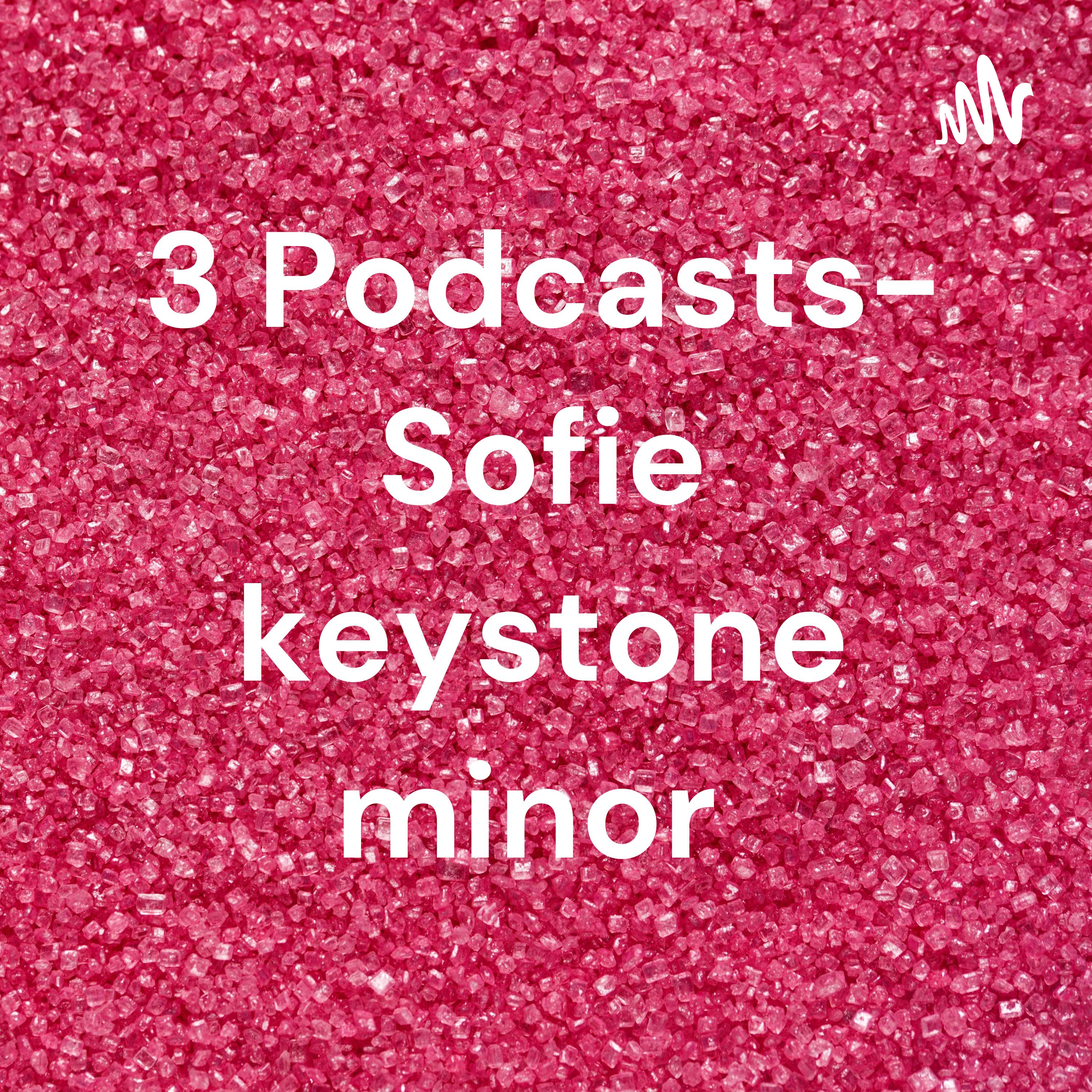 3 Podcasts- Sofie keystone minor 