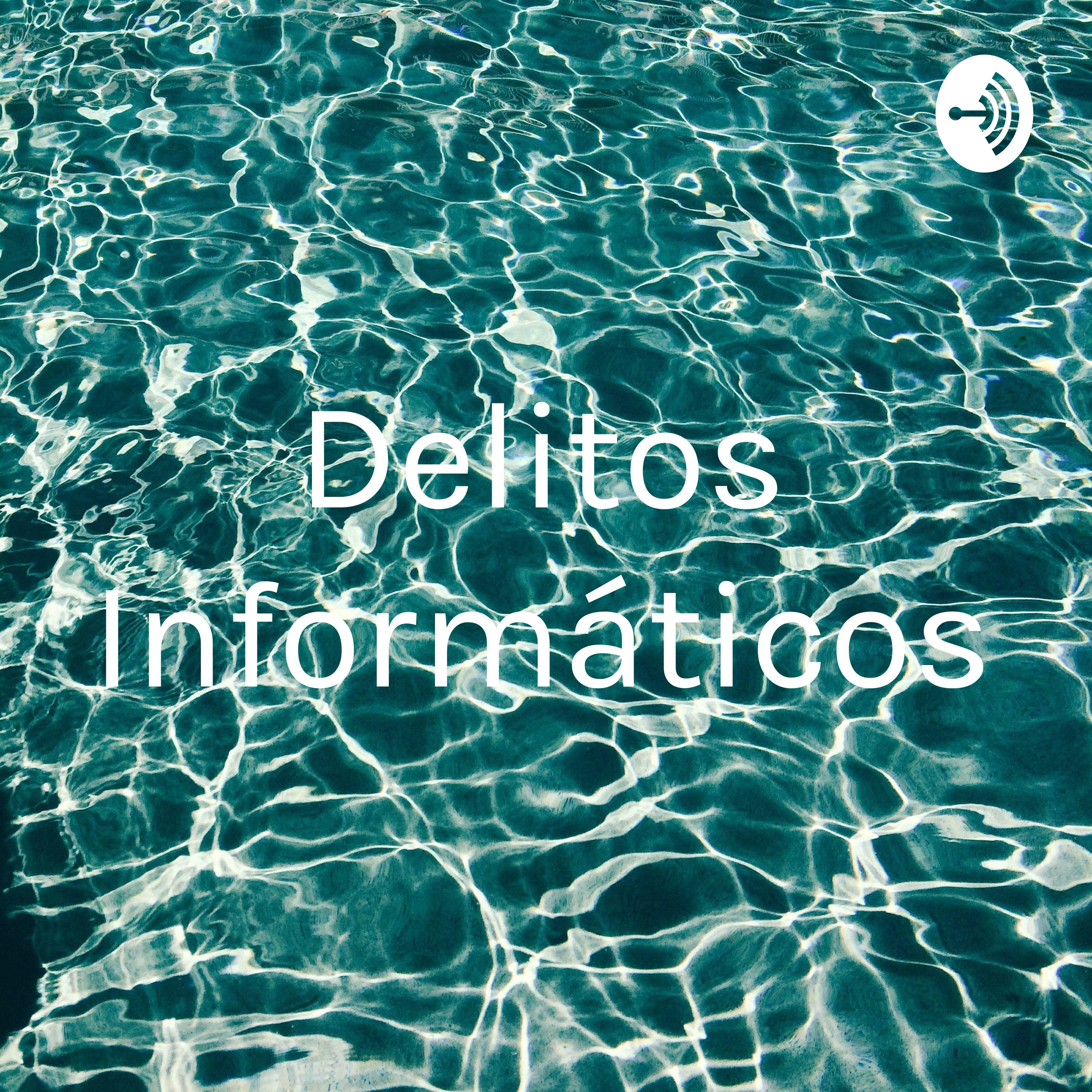 Delitos Informáticos