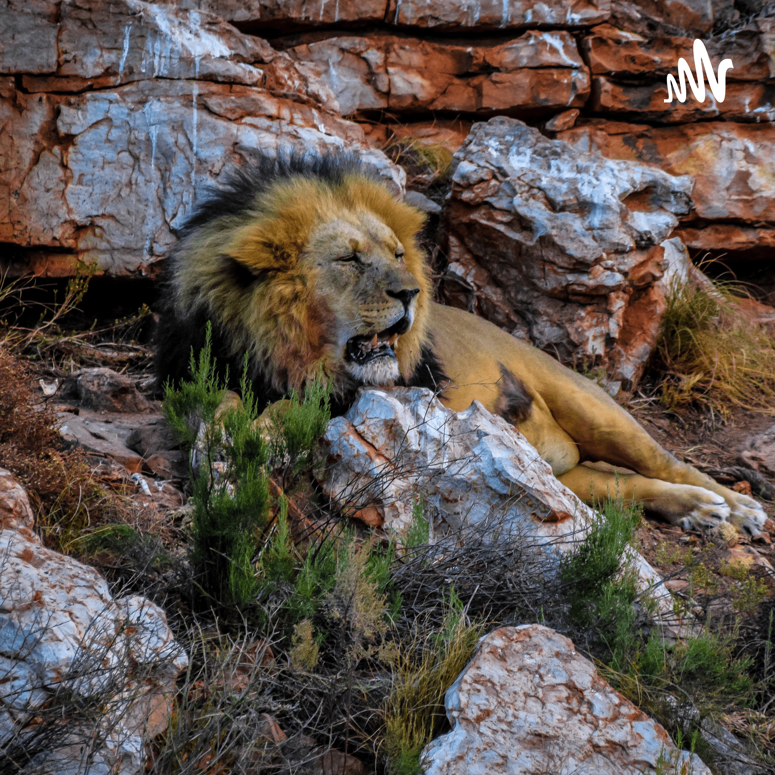 5 Hábitos Para Transformar Radicalmente Tu Estancia En El Confinamiento cover art