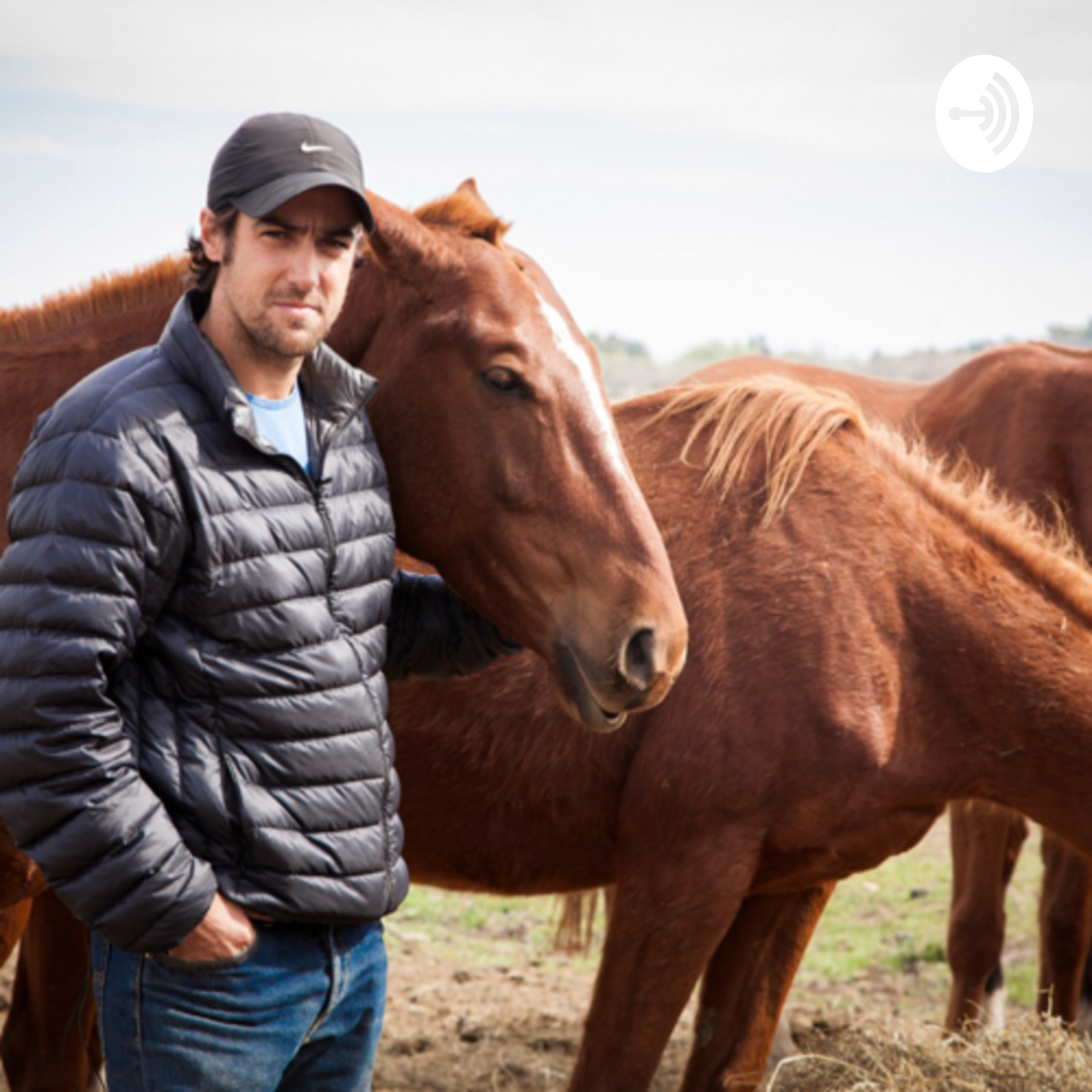 Los caballos una pasión 