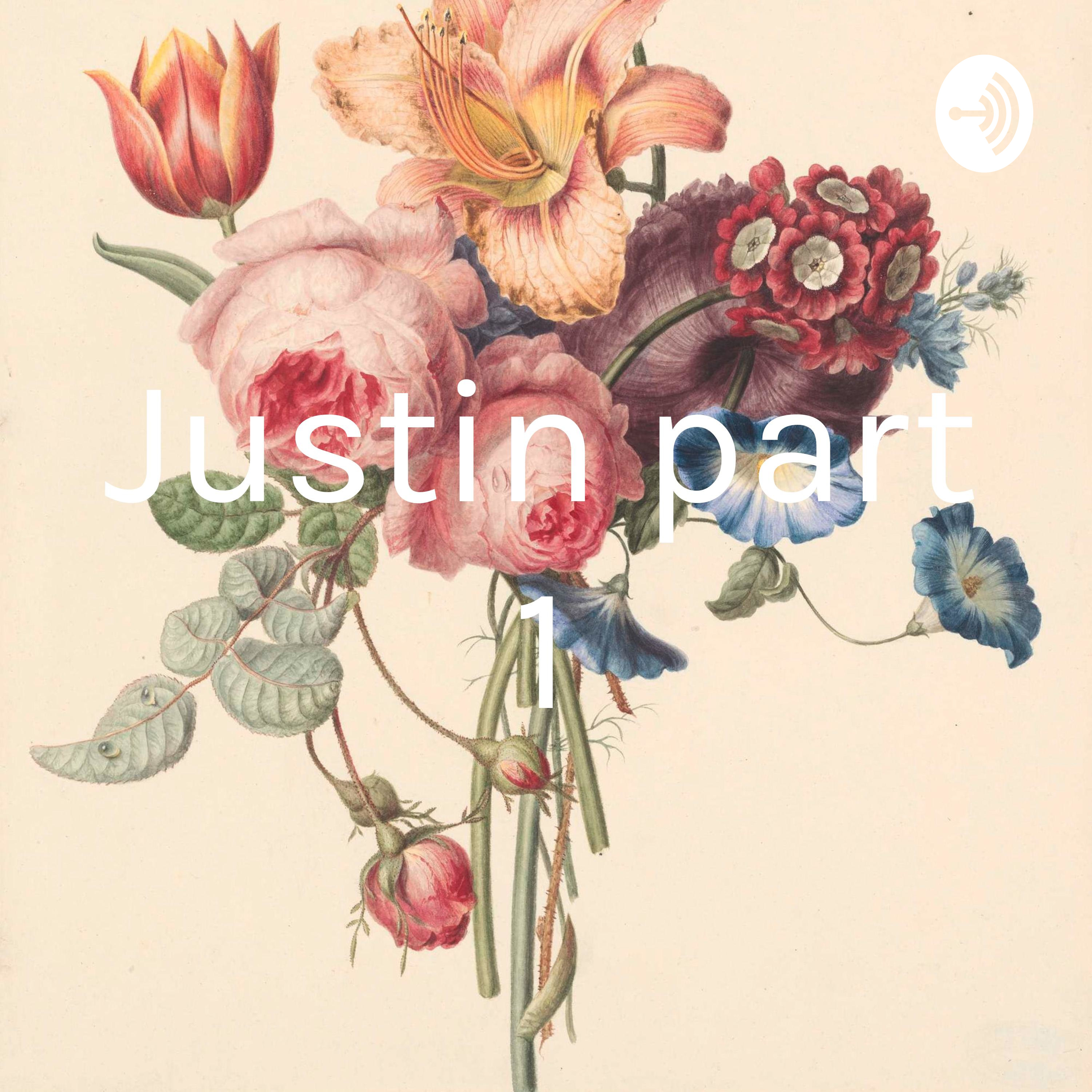 Justin part 1