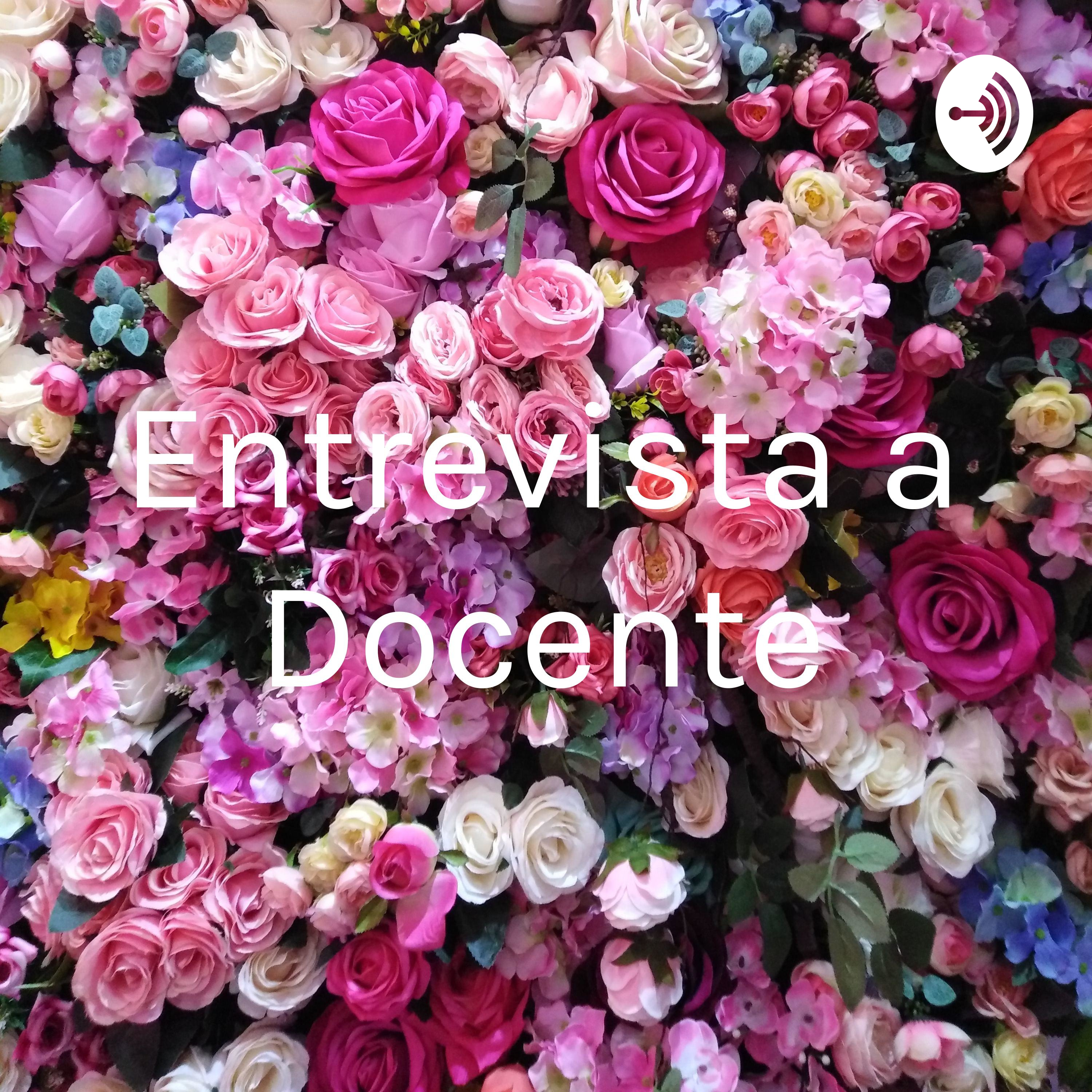 Entrevista a Docente