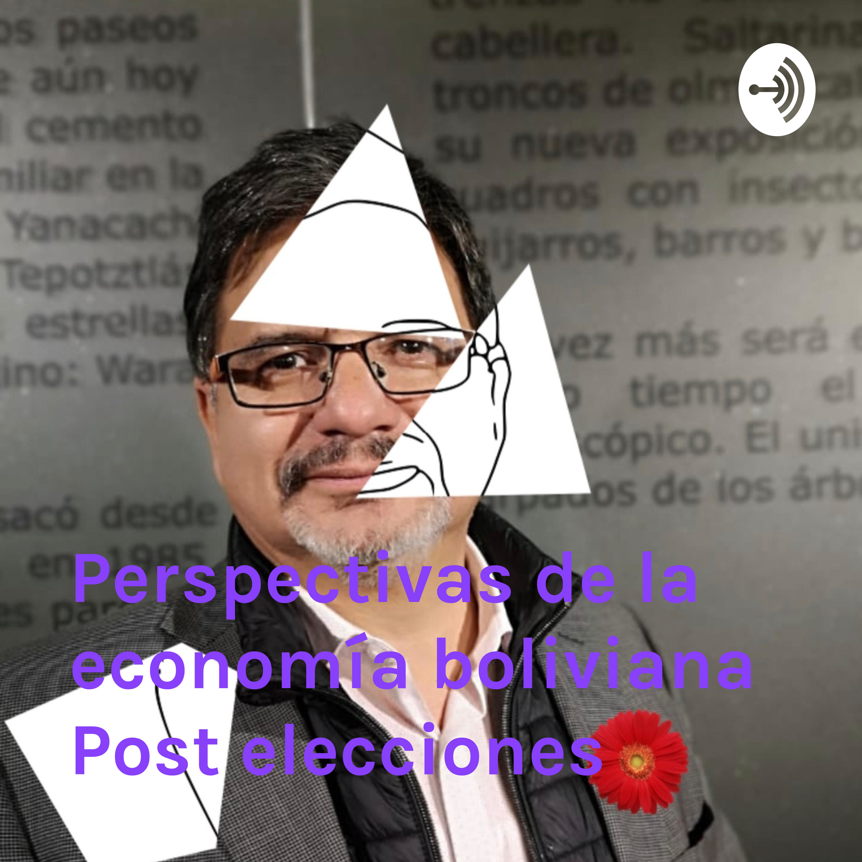 Perspectivas de la economía boliviana Post elecciones