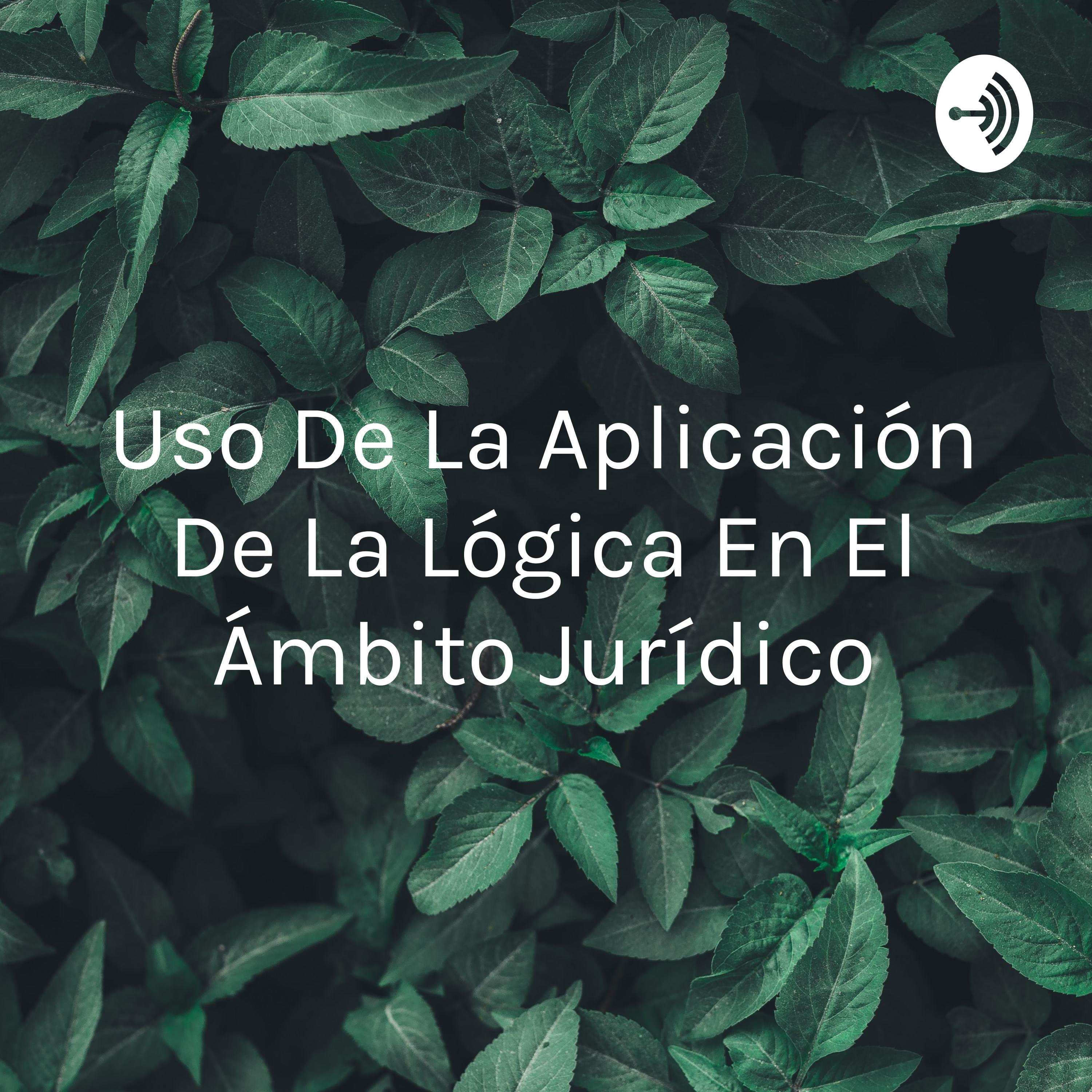 Uso De La Aplicación De La Lógica En El Ámbito Jurídico