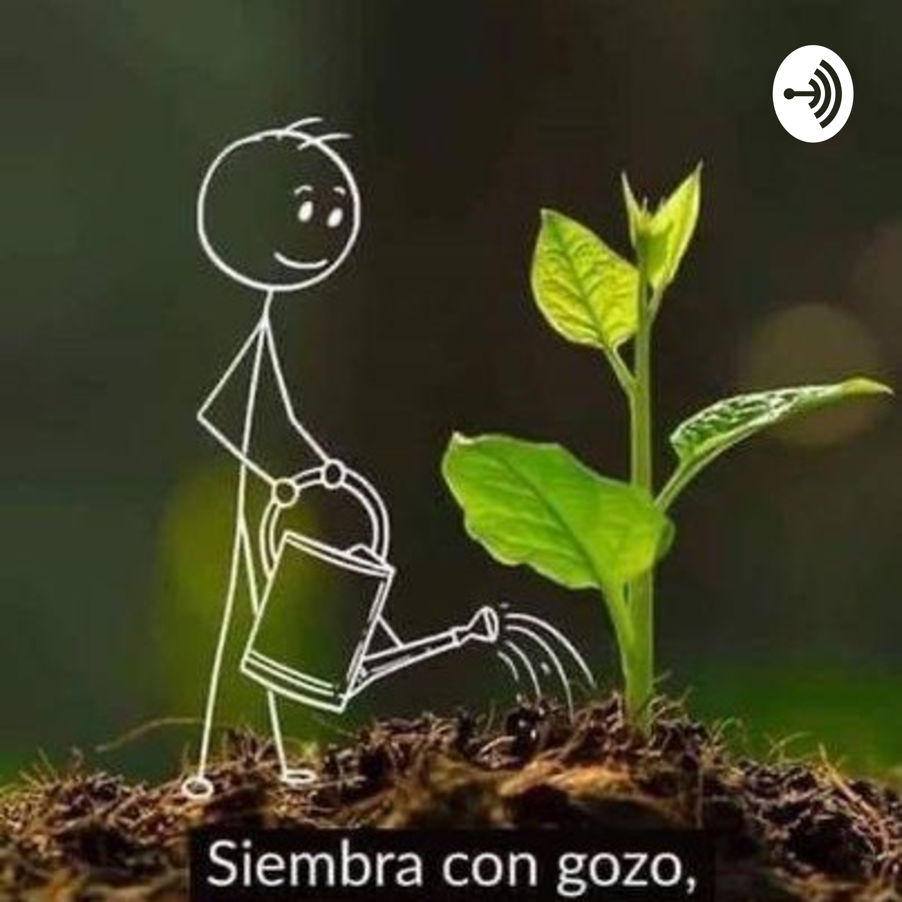 Importancia De Sembrar Arboles 
