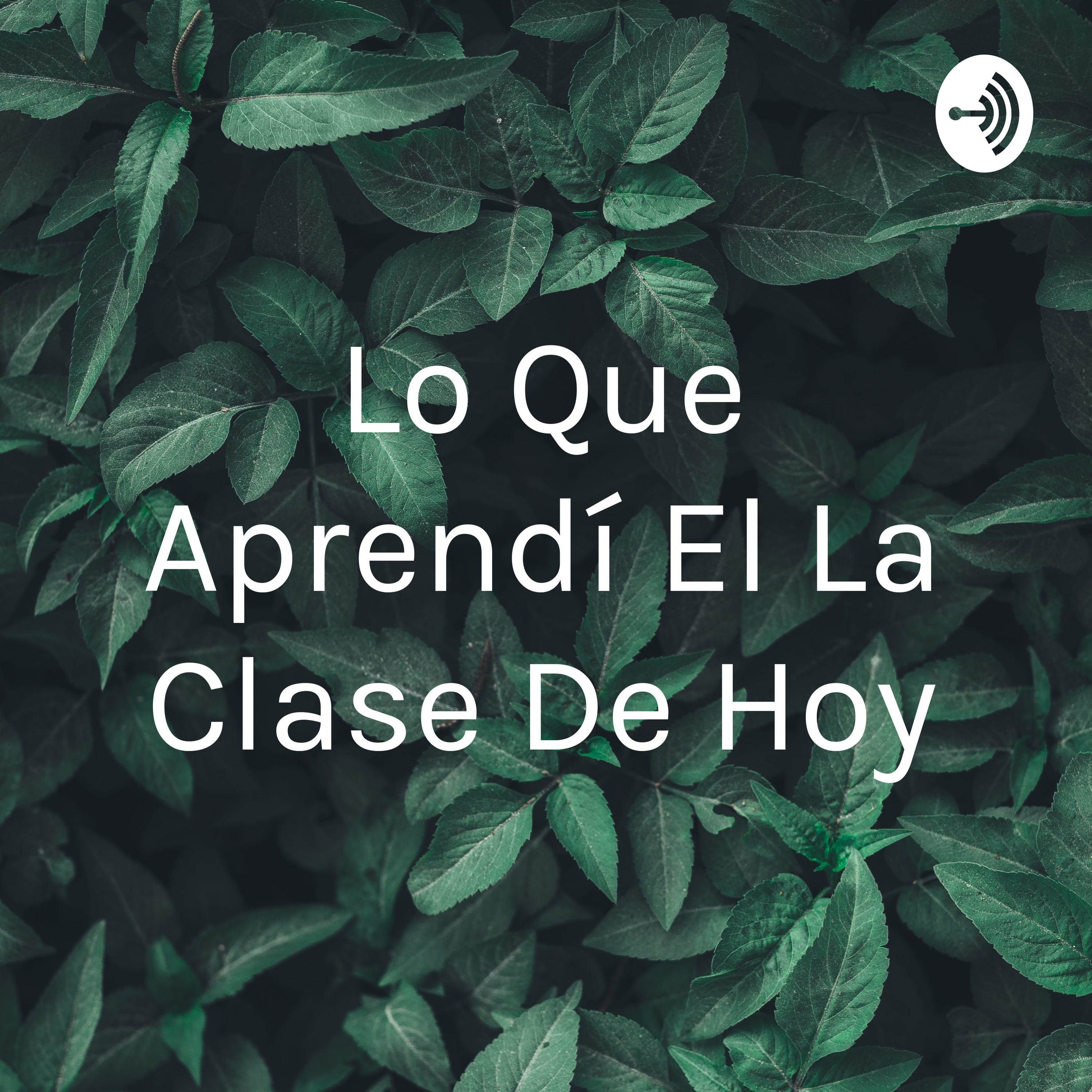 Lo Que Aprendí El La Clase De Hoy