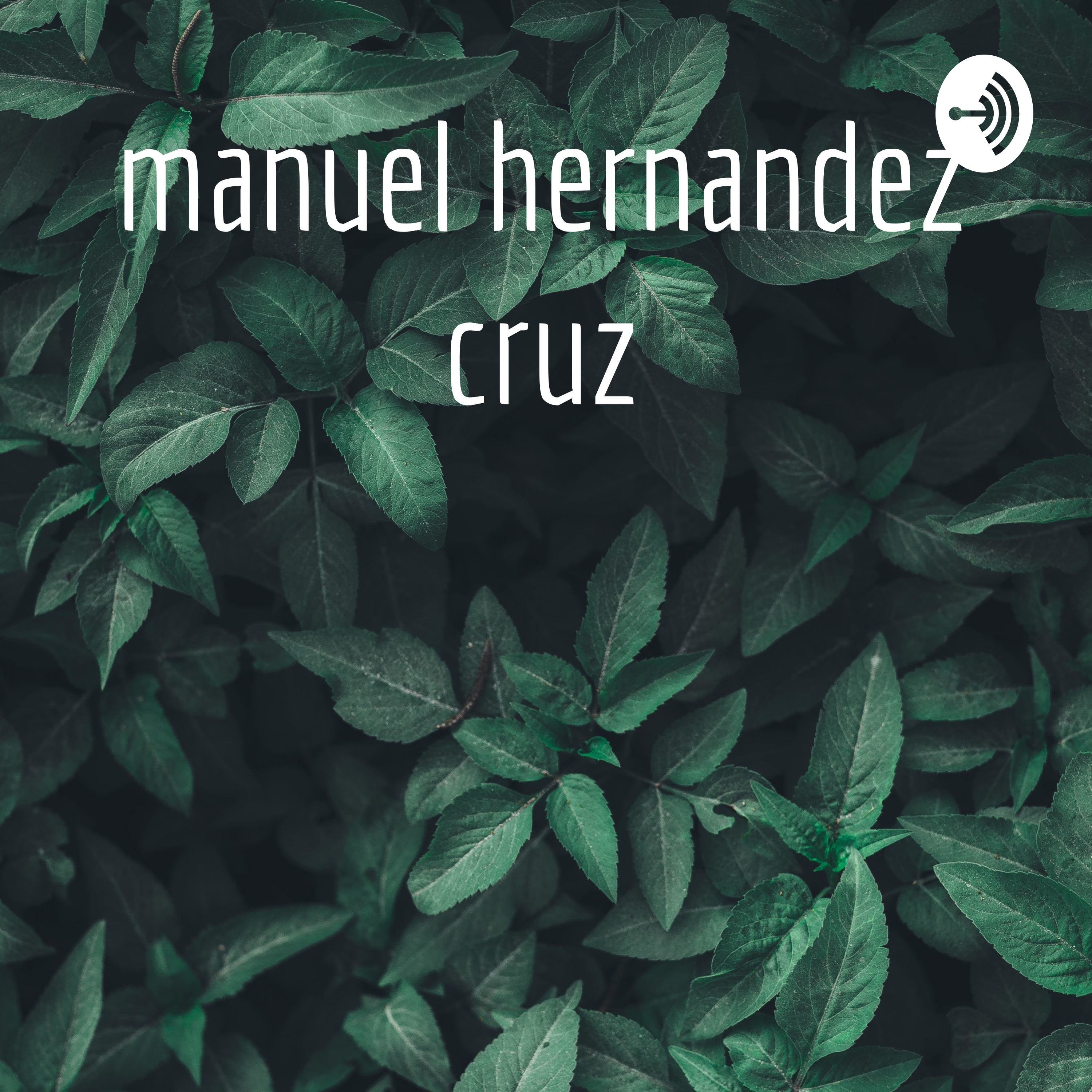 manuel hernandez cruz