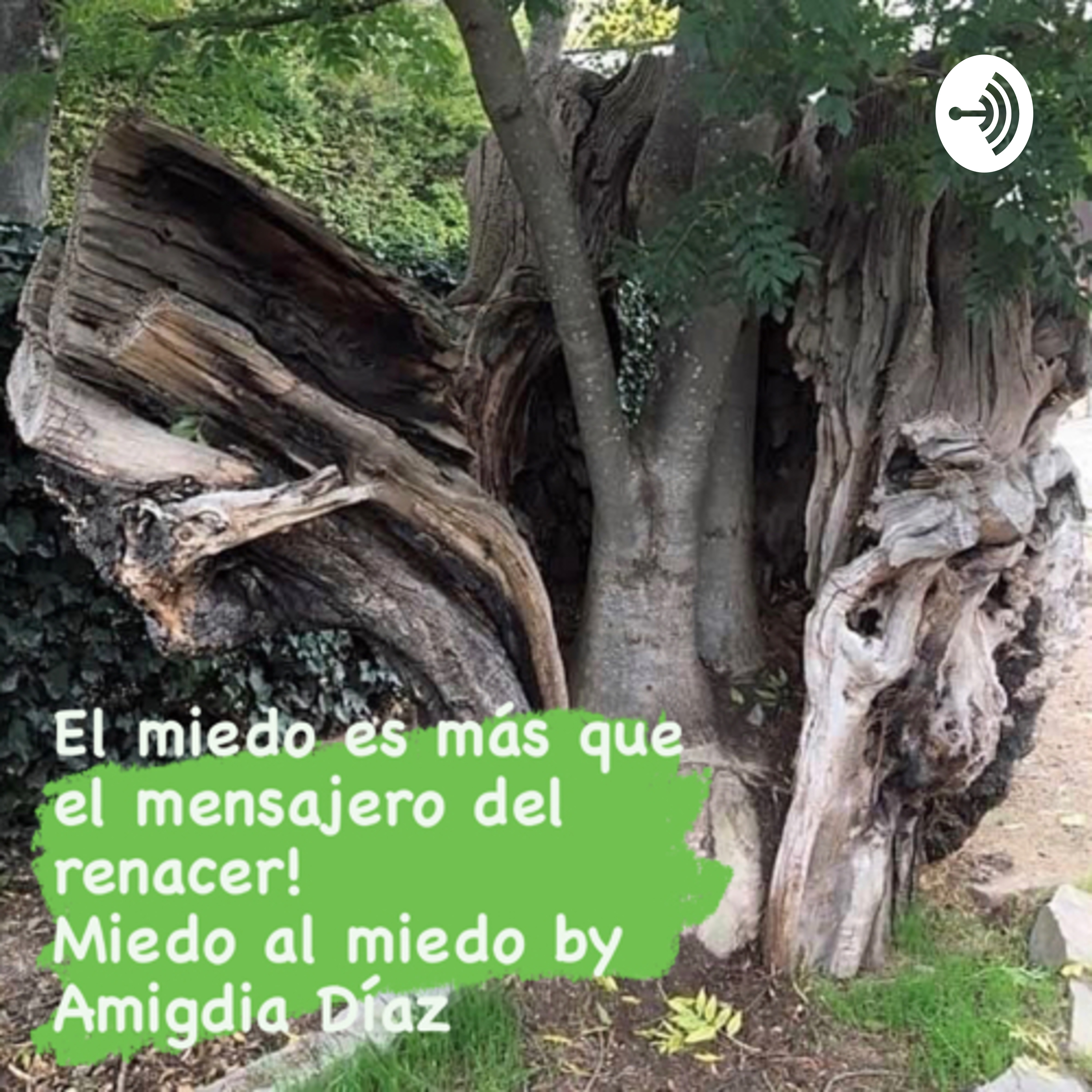 Amigdia