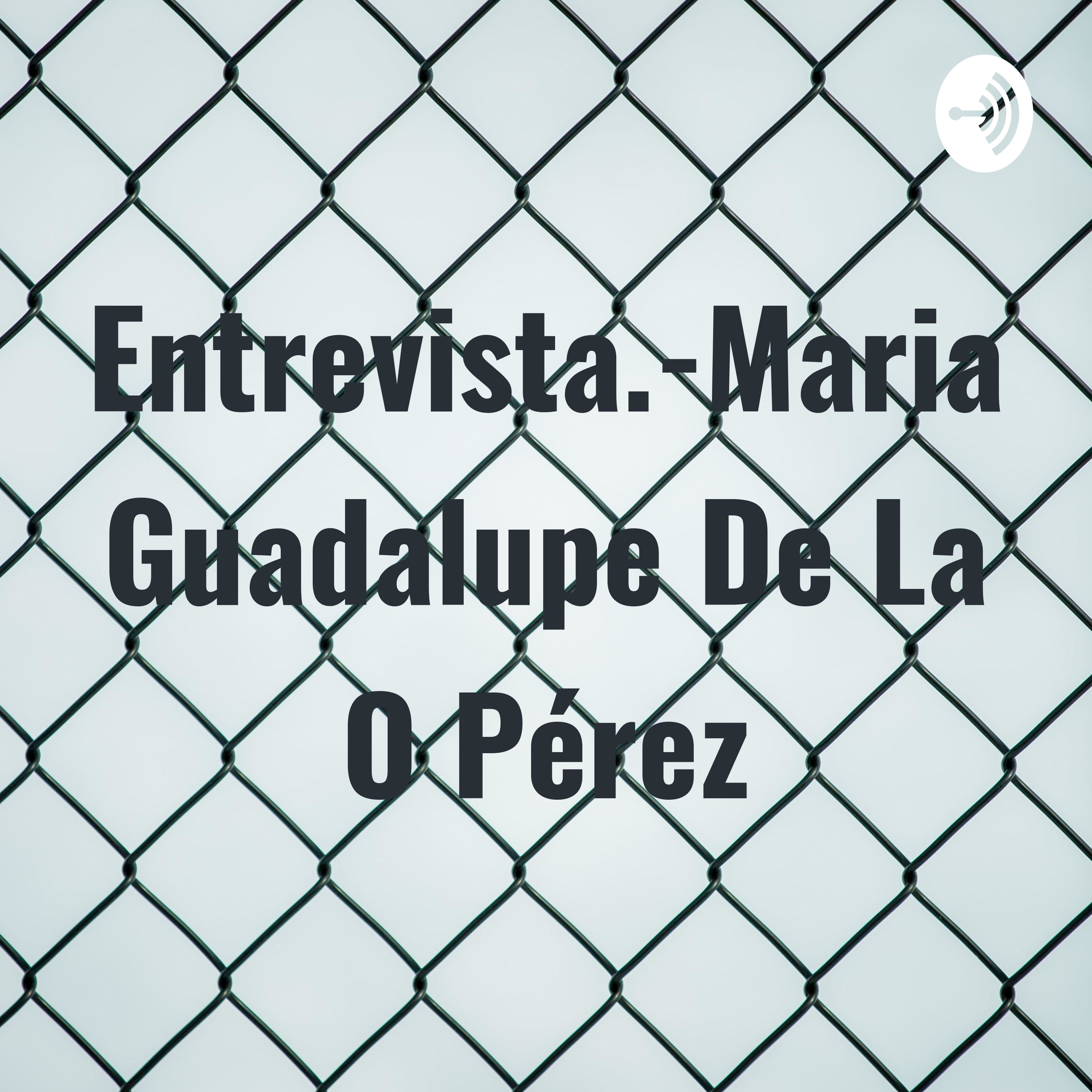 Entrevista.-Maria Guadalupe De La O Pérez cover art