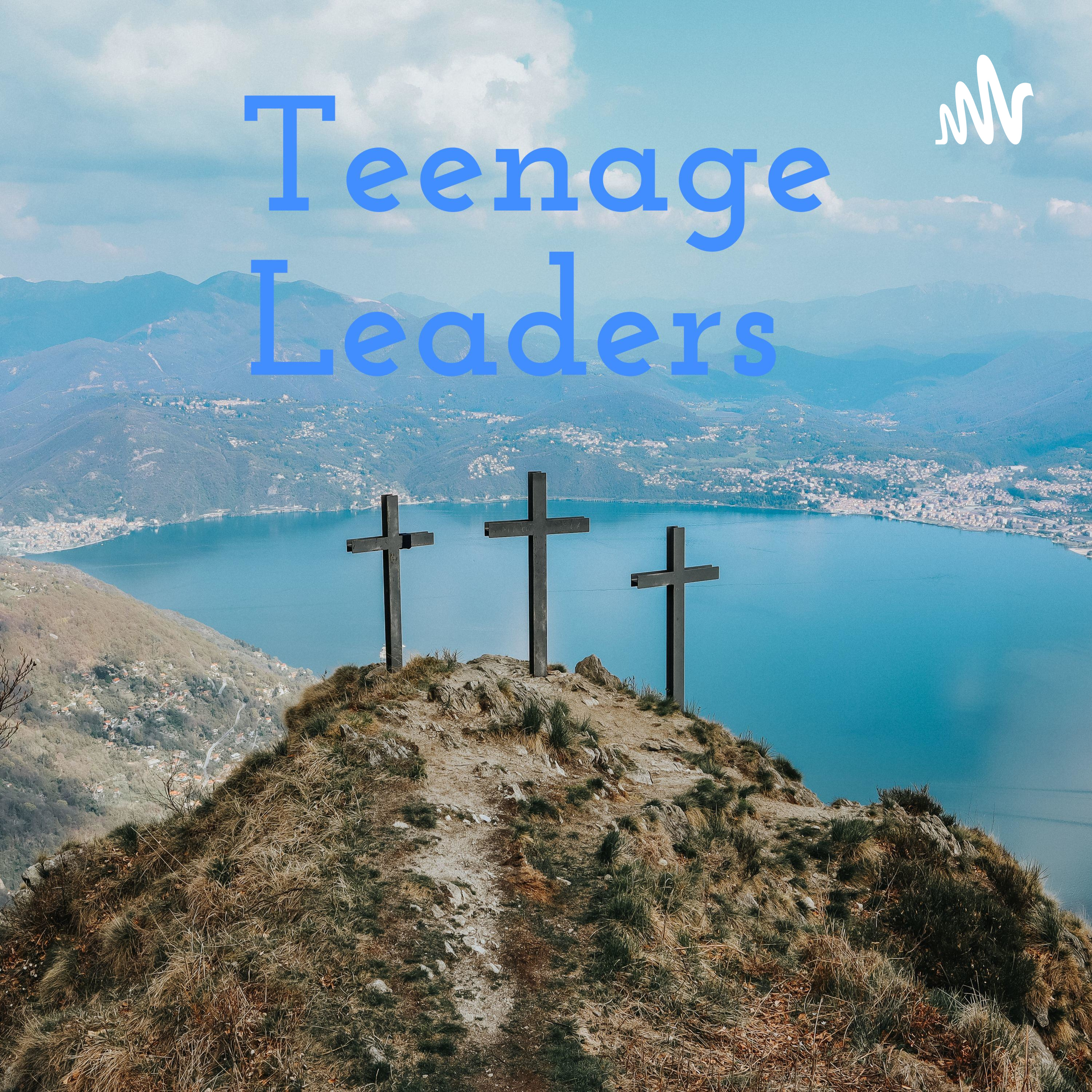 Teenage Leaders cover art