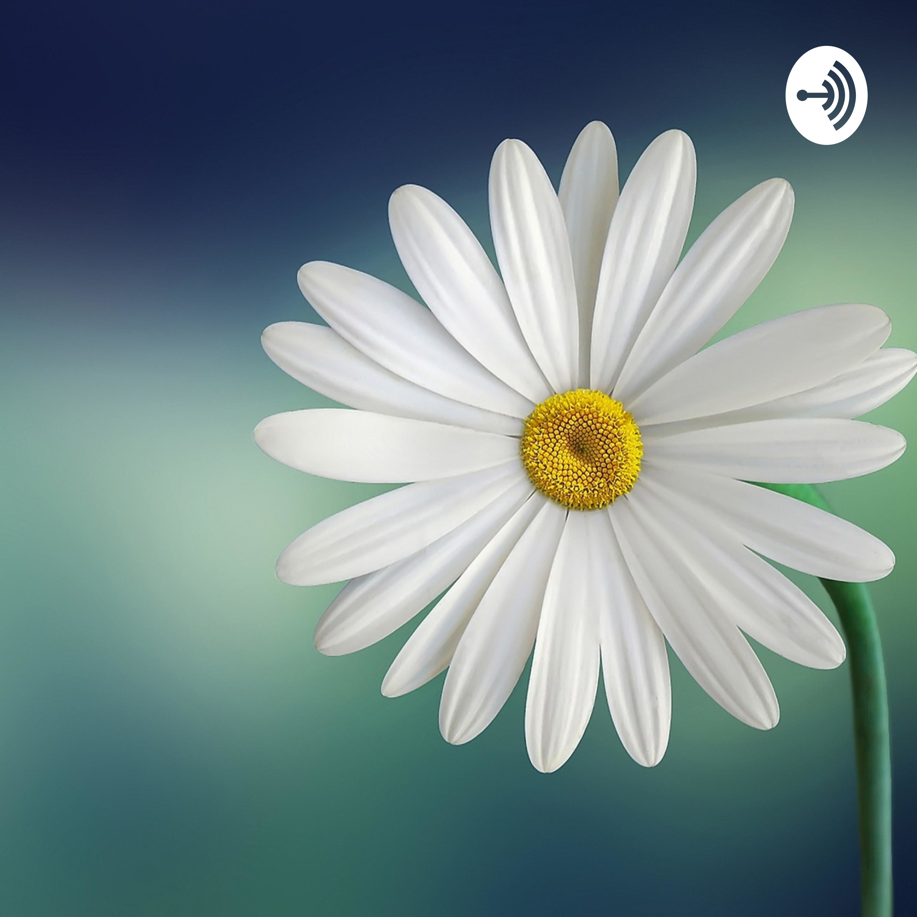 Ngobrol Santai podcast artwork