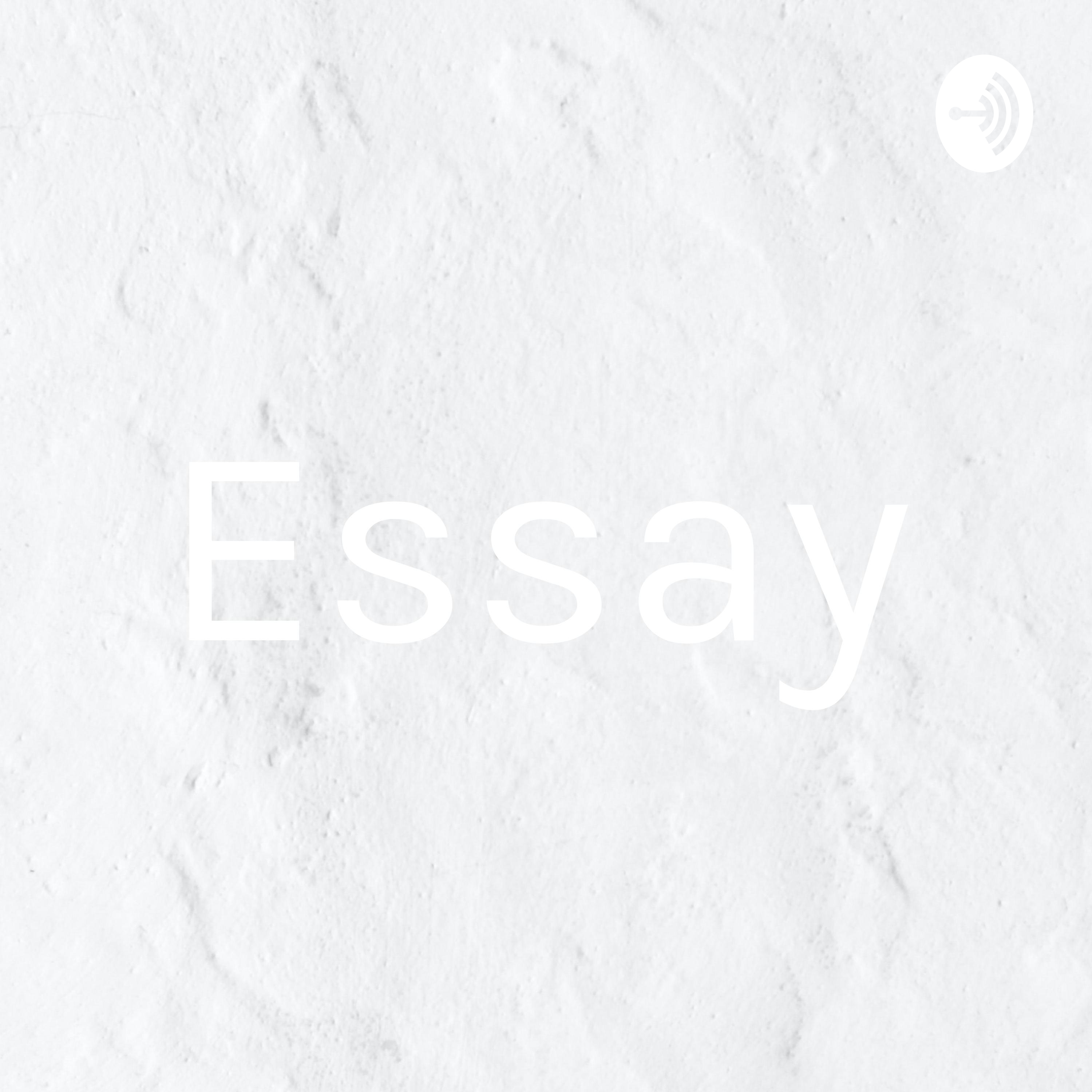 Essay