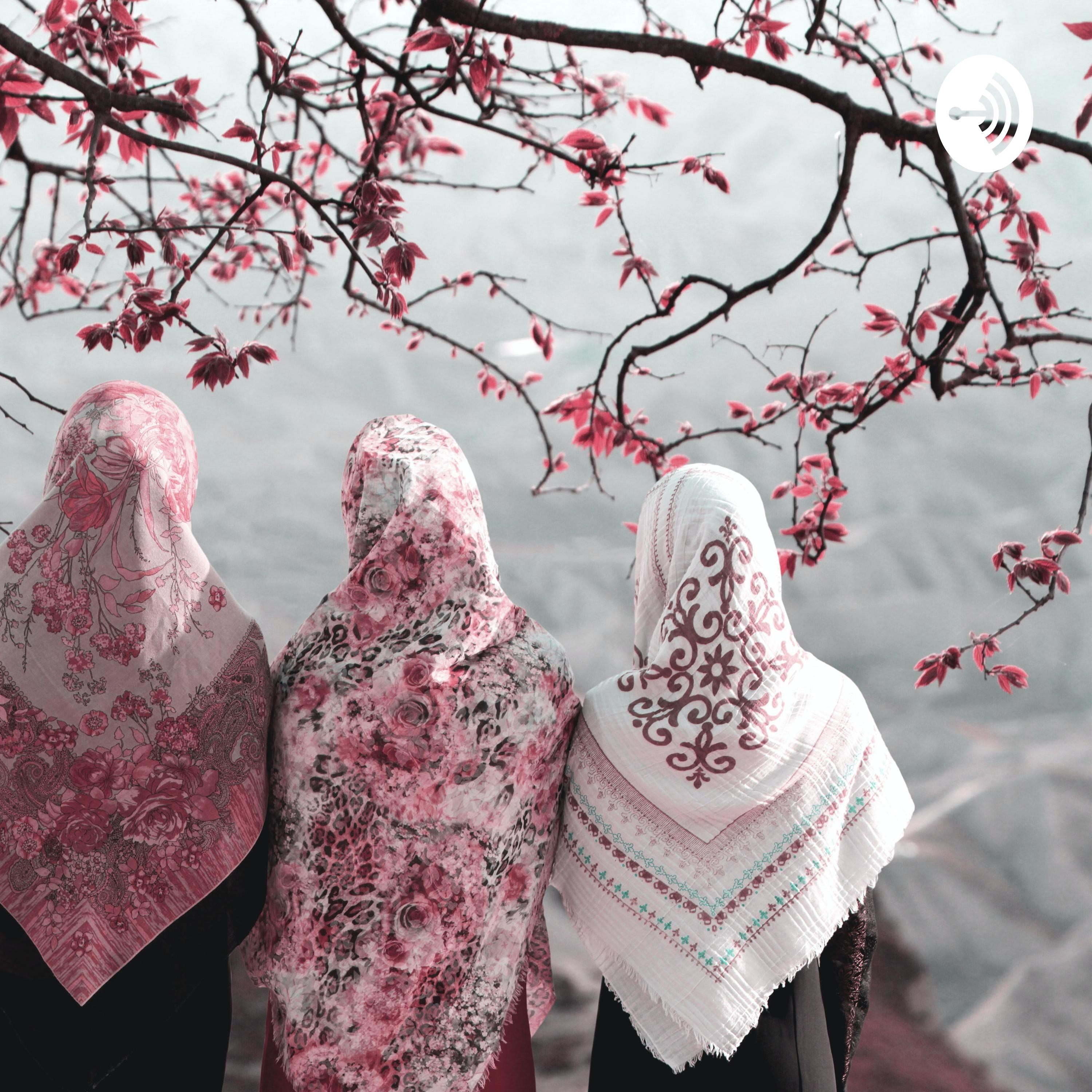 Kvinder i islam af Luca Bjørn Larsen