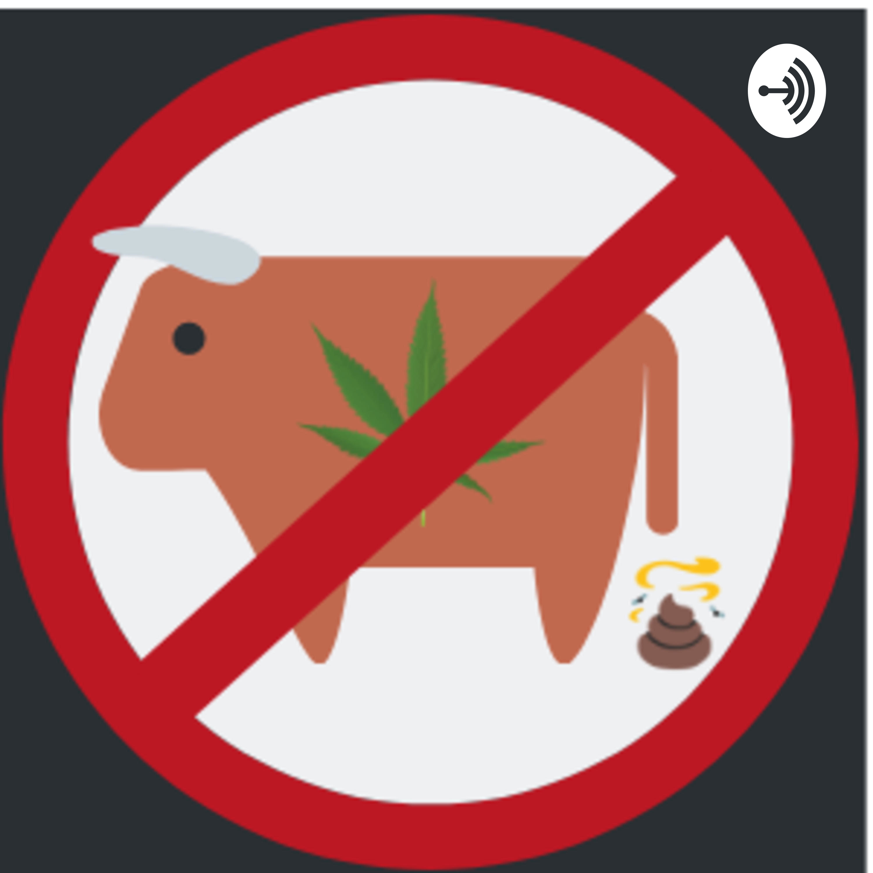 The No BS Guide to Medical Cannabis