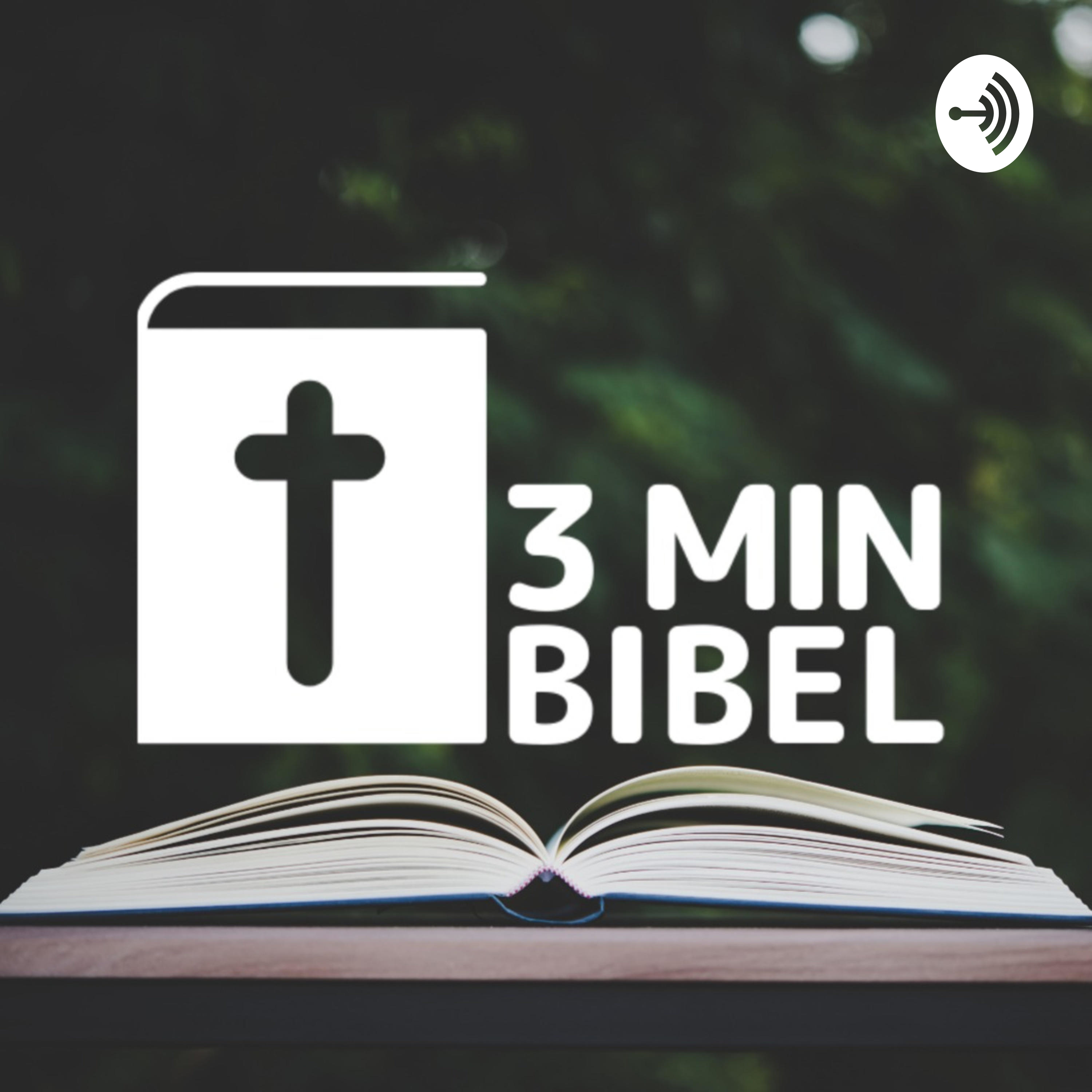 3 minutters Bibel