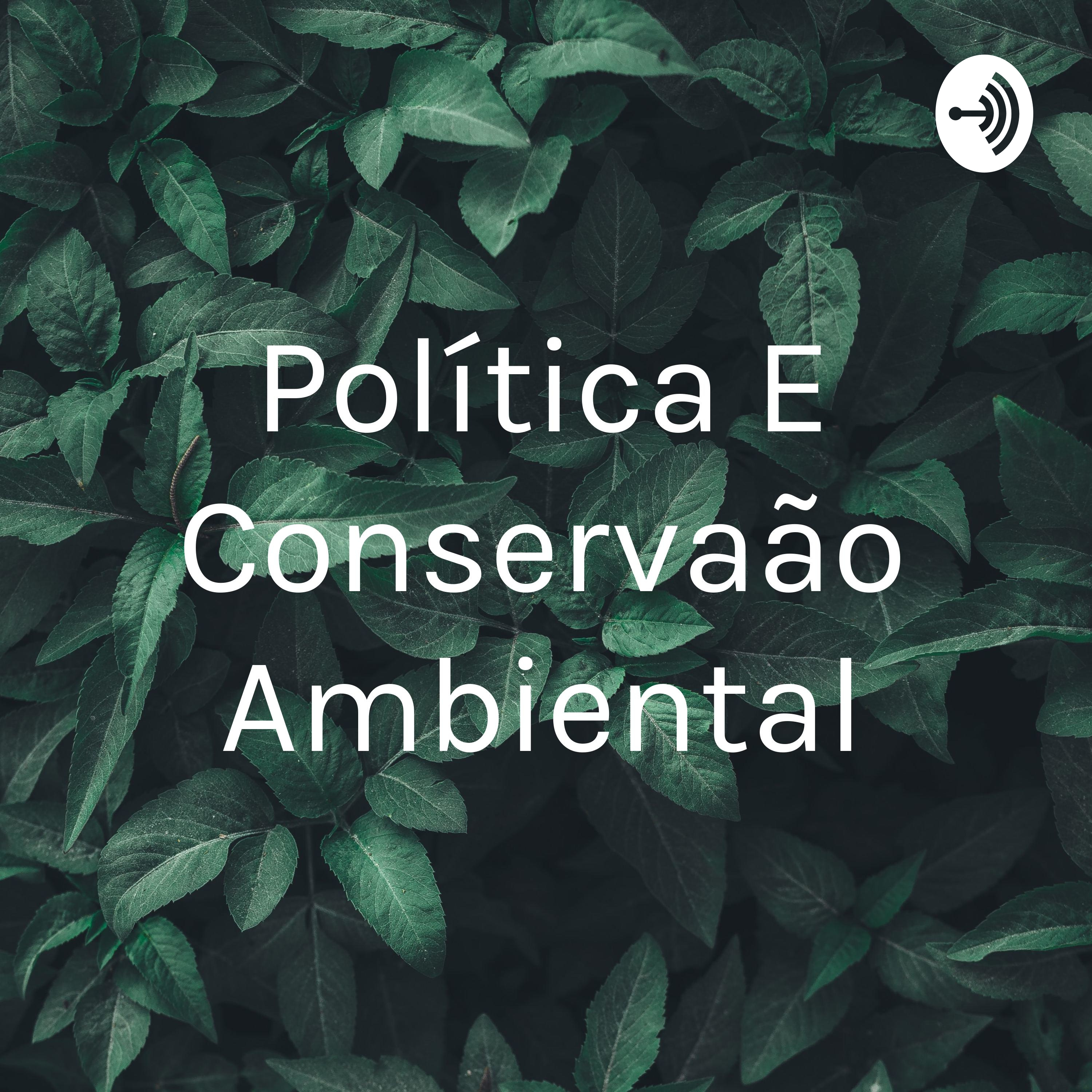 Política E Conservação Ambiental