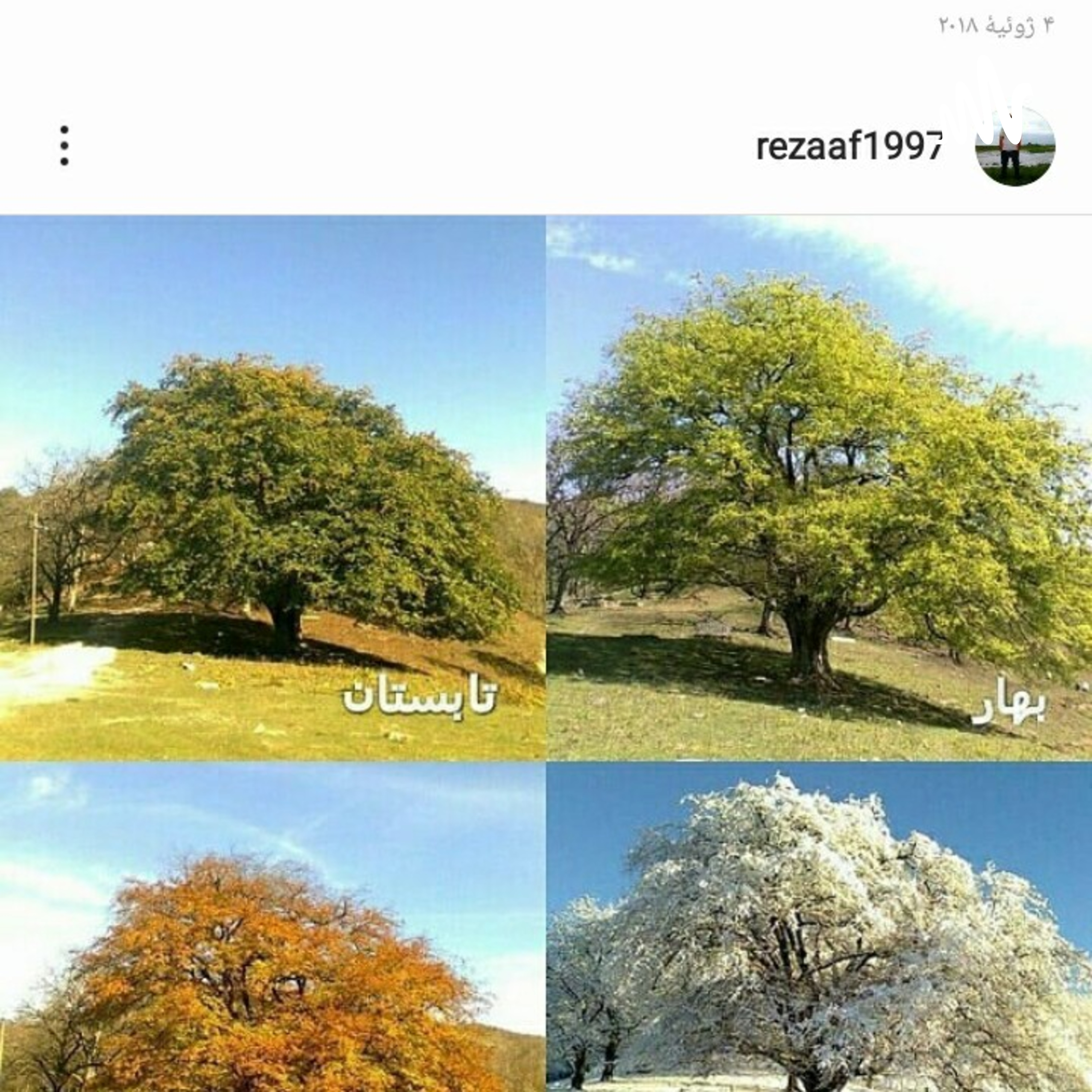 کاور بانوی آسمان